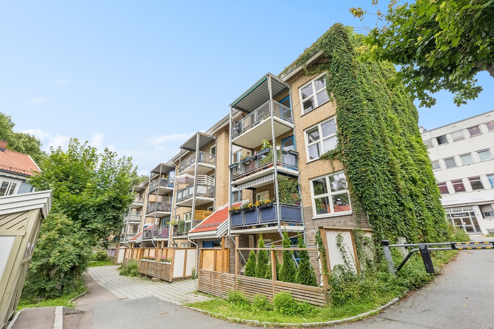 Hedmarksgata 12 - Sommerstid Galleribilde