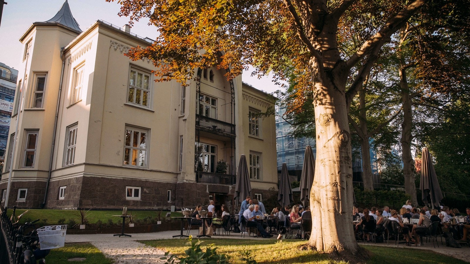 Nærområde. Galleribilde