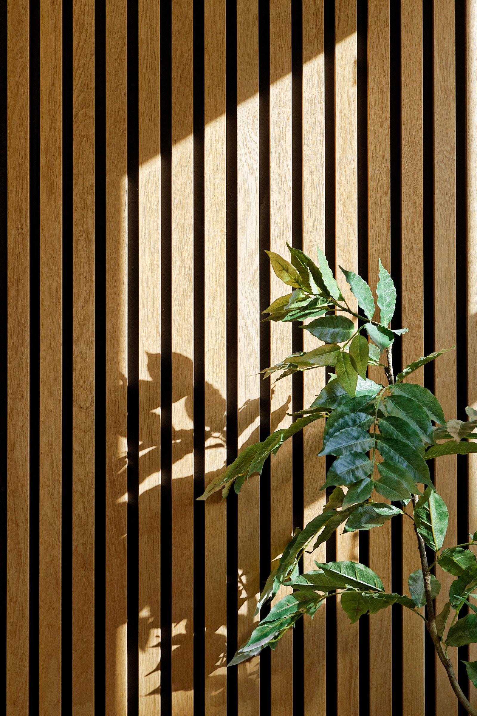 Spilevegg langs en vegg er en stilfull kontrastvegg. Galleribilde