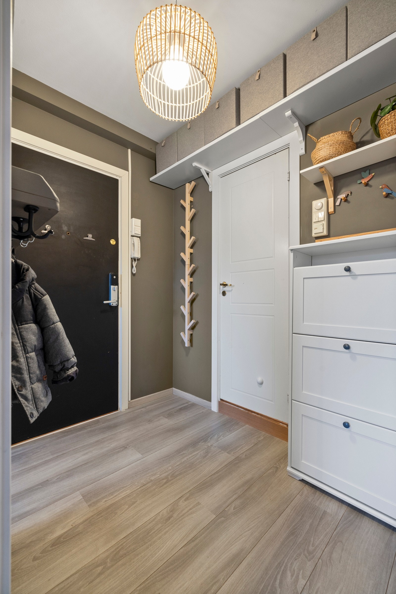 Pen entré med gråmalte vegger og tidsmessig laminat på gulv med gulvvarme Galleribilde