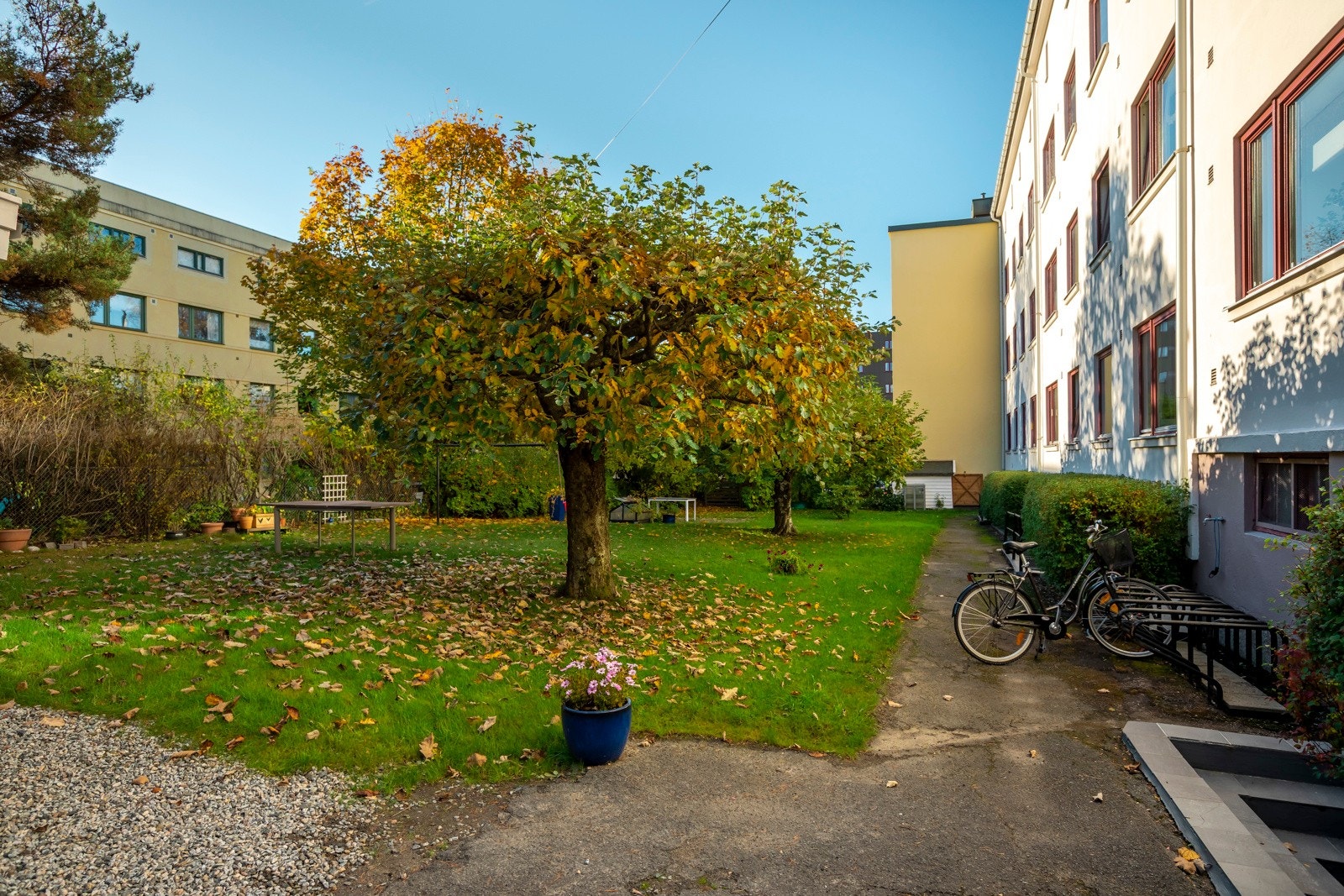 Borettslaget har også en bakgård til, men den er på motsatt side. Galleribilde