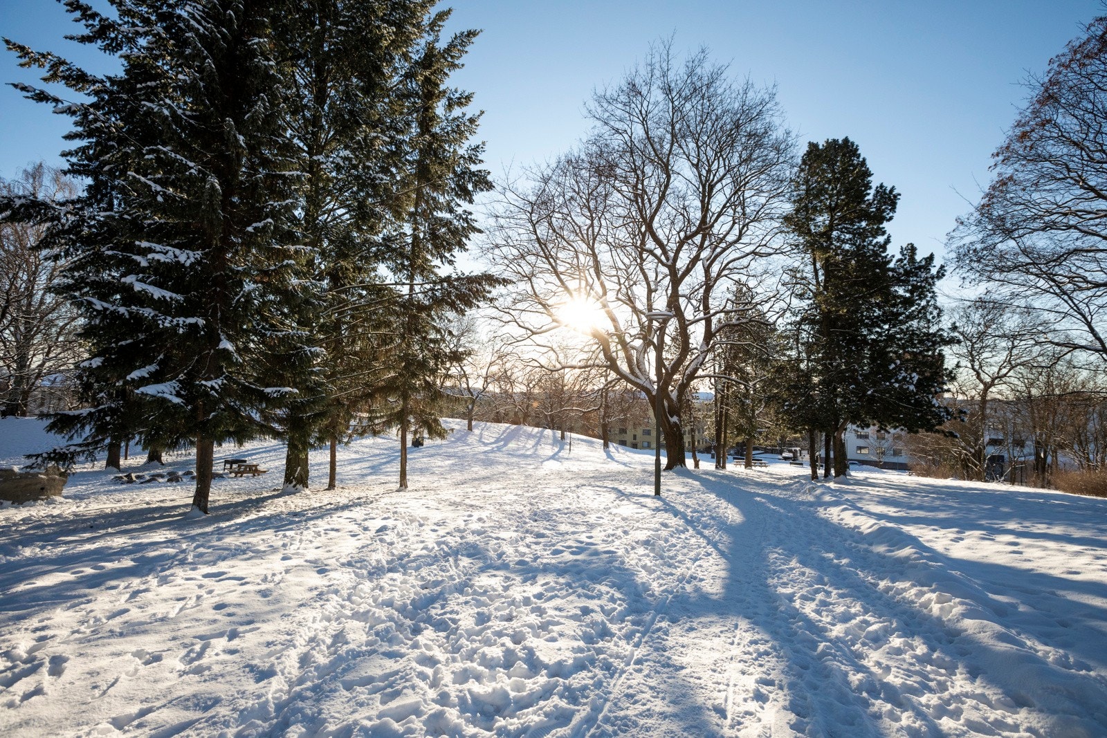 Ganske så fint også på vinterstid! Galleribilde