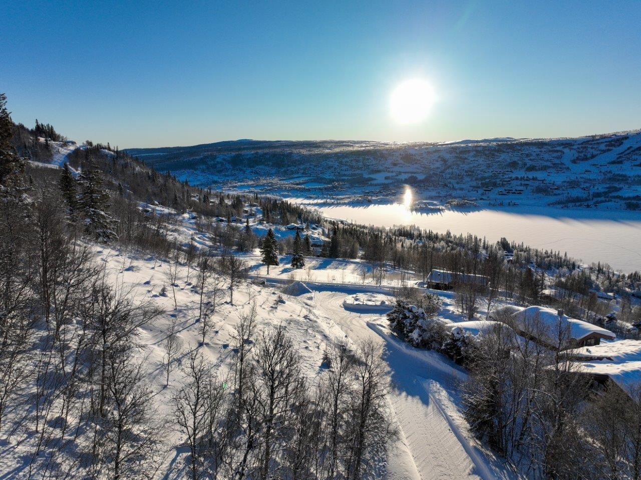 Bilde midt i feltet mot tomt 16 Galleribilde