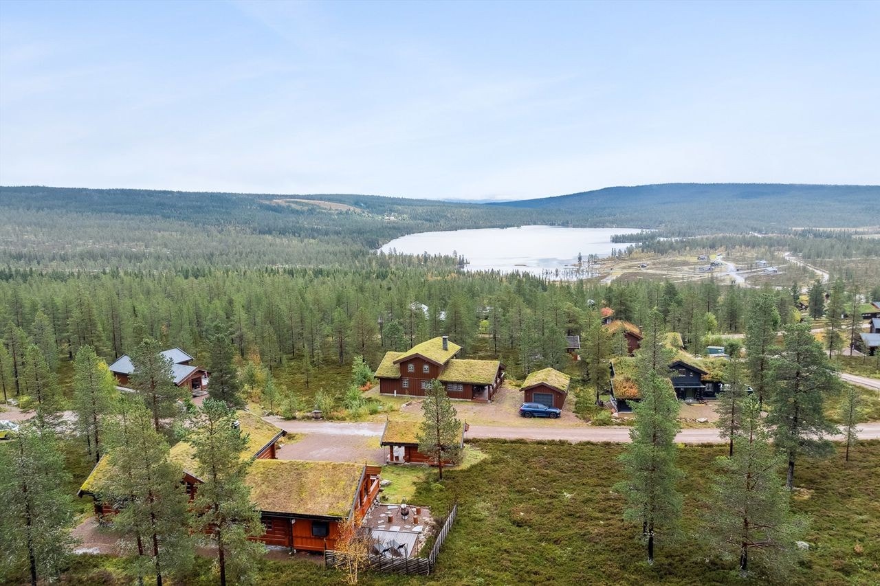 Høy beliggenhet i hyttefeltet - Nærhet til Eltsjøen og snaufjell Galleribilde