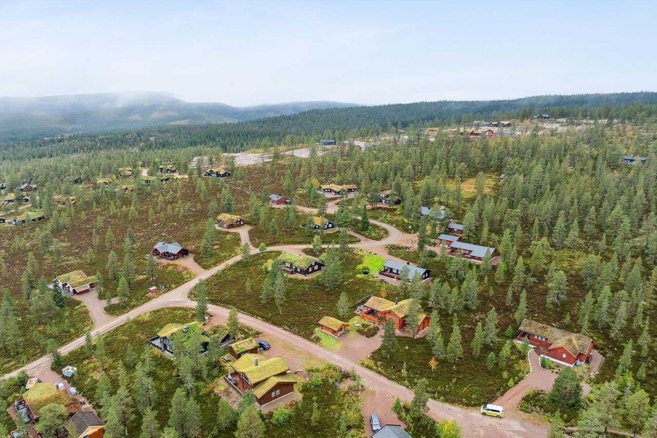 Velkommen til Trysil-Knuts fjellverden! Et eldorado for turer i skog og fjell til fots, på sykkel eller med langrennsski - Nær snaufjellet Galleribilde