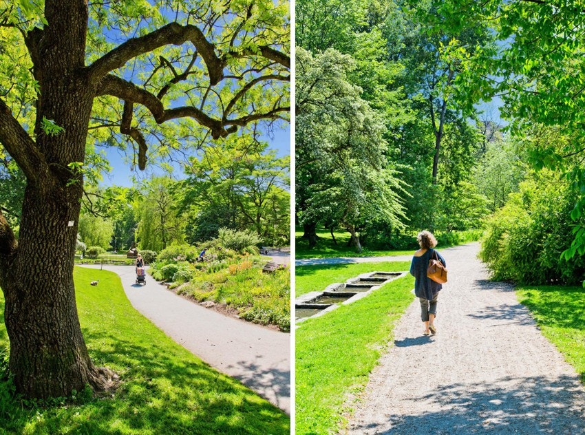 Nærområdet. Galleribilde