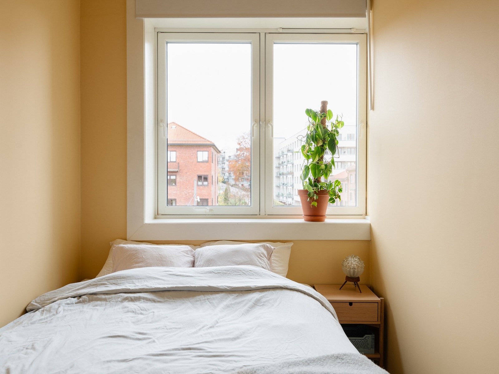 Soverommene vender mot nordøst og har et herlig lys på morgenene Galleribilde