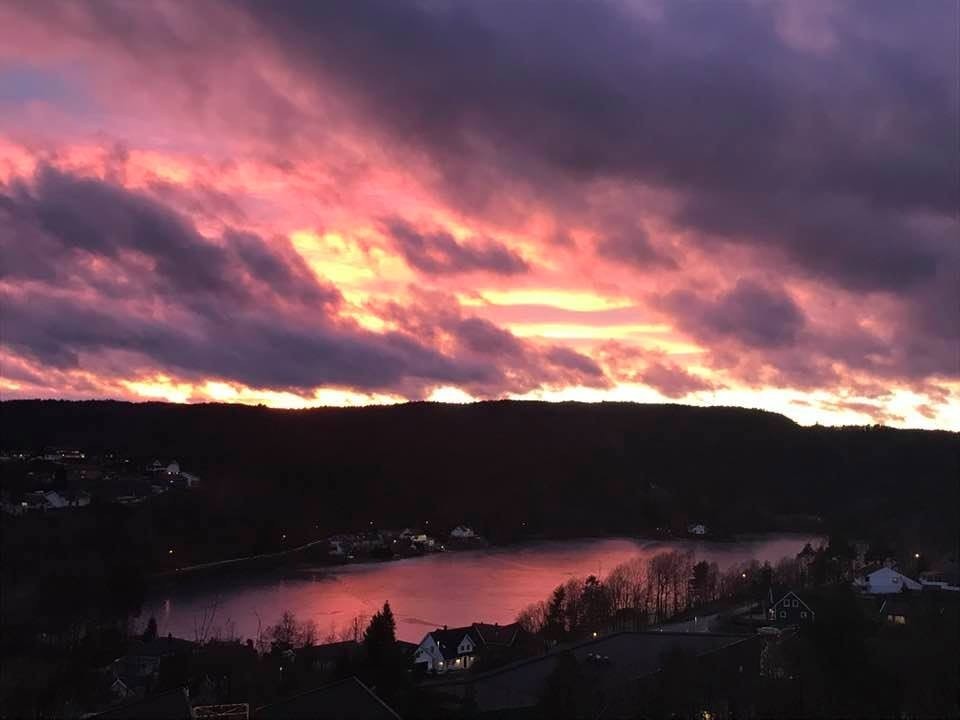 Privat bilde fra selger. Galleribilde