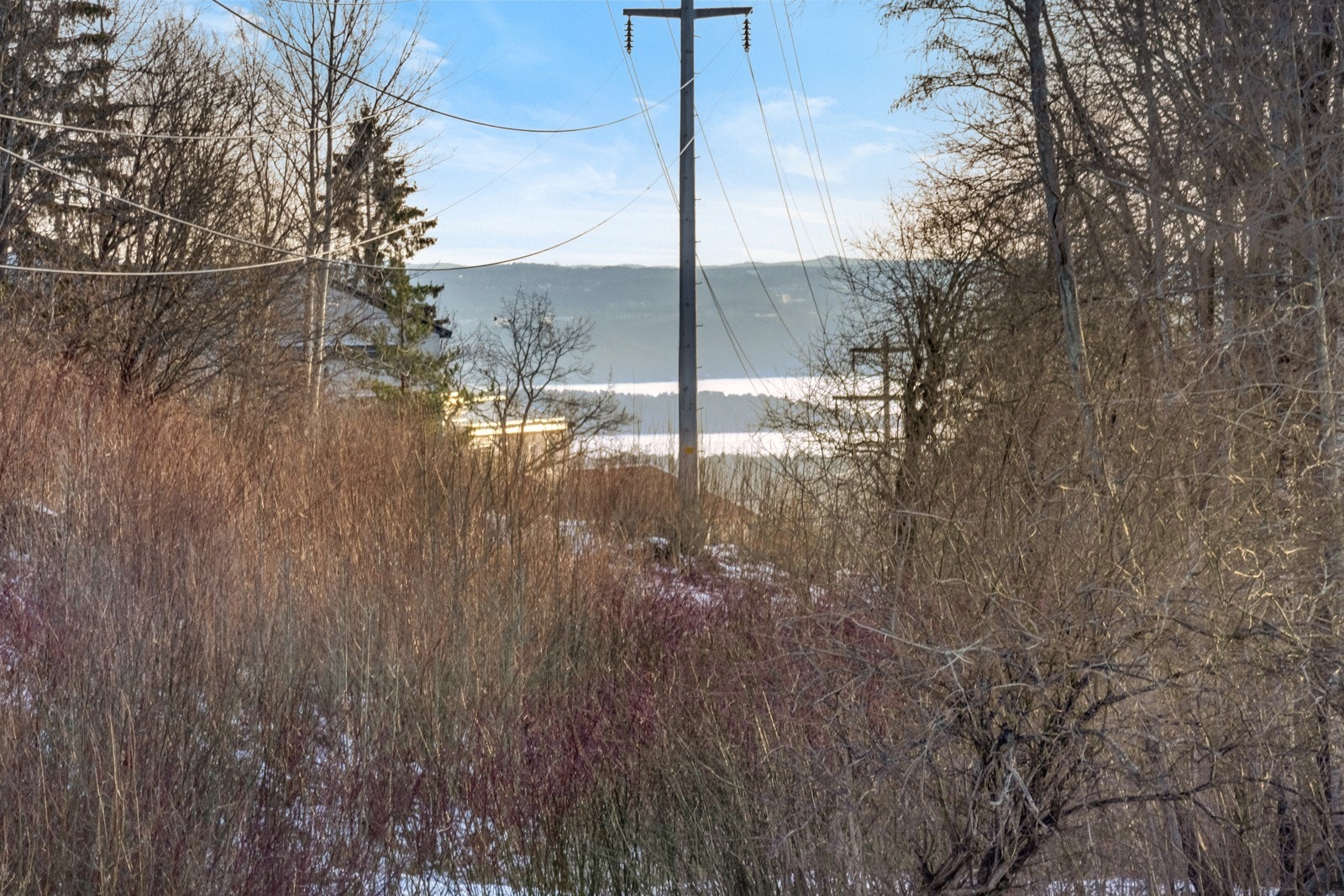 Frodig utsyn på sommerhalvåret med sjøen i det fjerne! Galleribilde