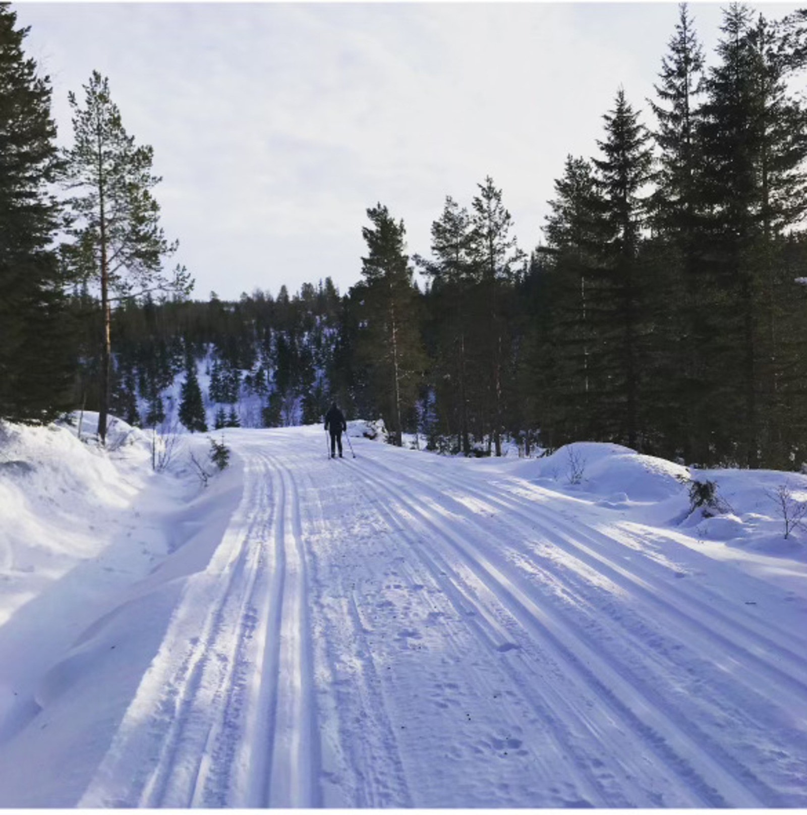 Om vinteren har du fantastiske skiløyper kun 200 meter fra hytten. Galleribilde