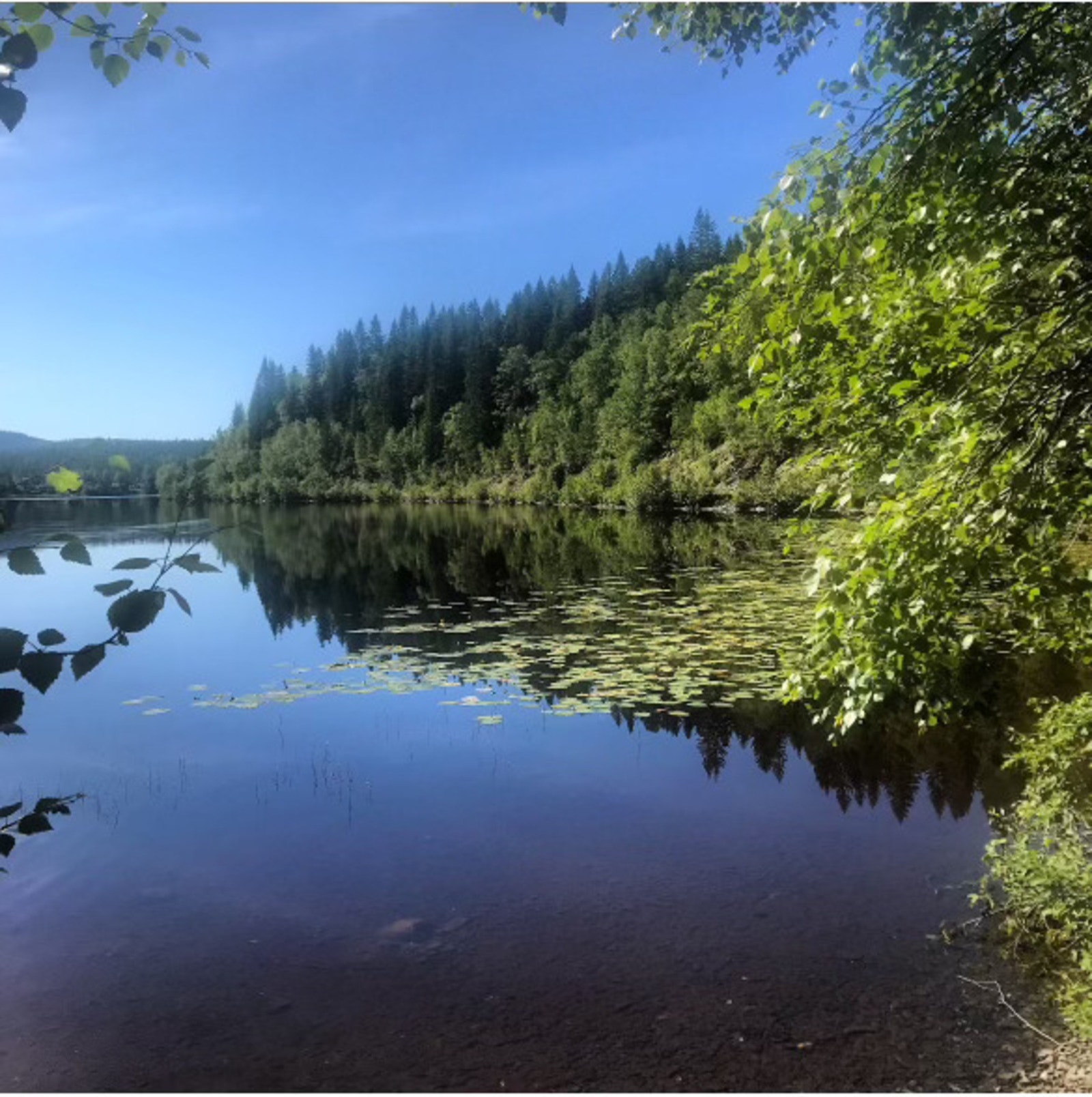 Bildet er av Romsjøen i nærheten av hytta. Galleribilde