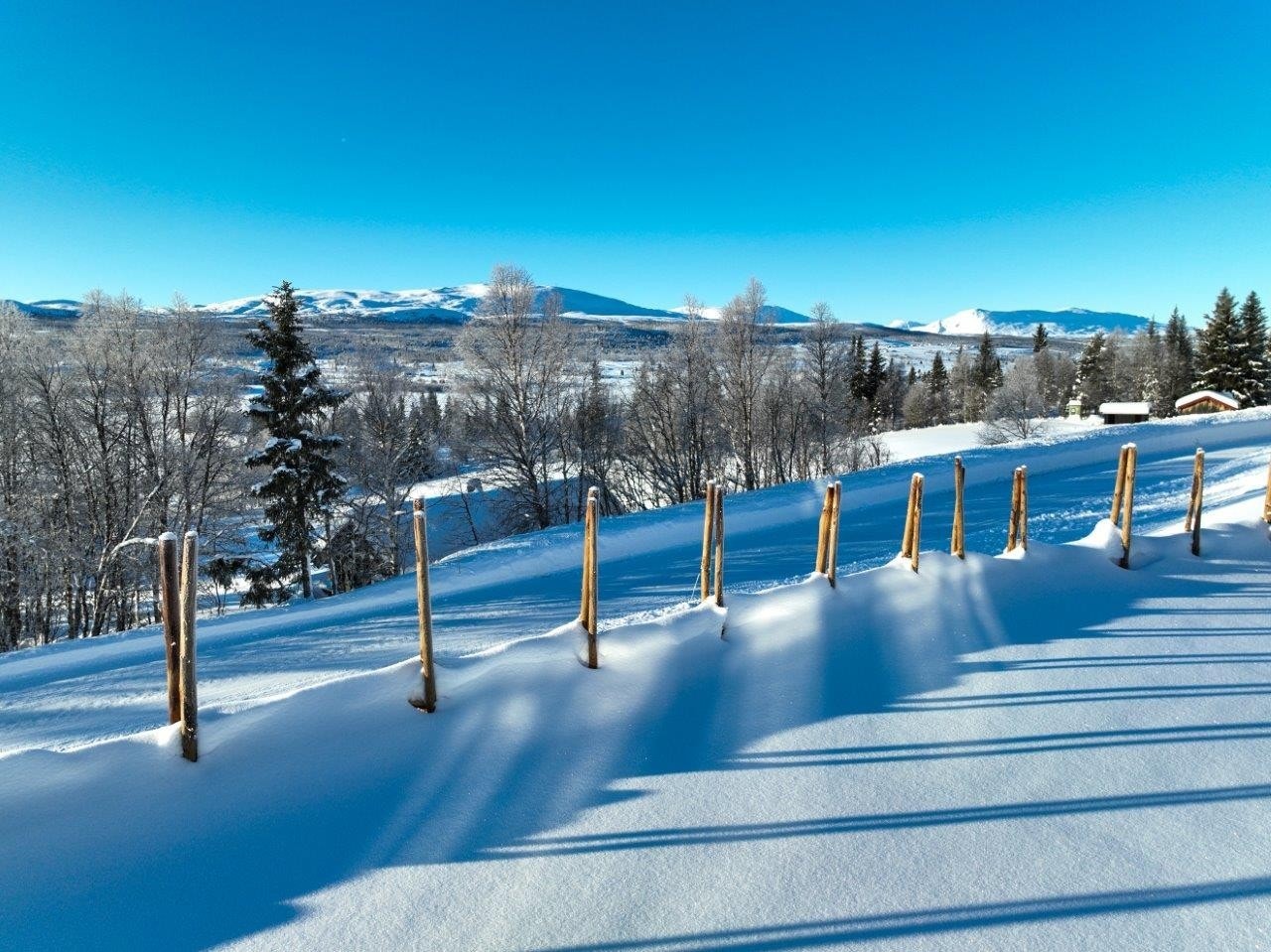 Skigard i front av tomten Galleribilde