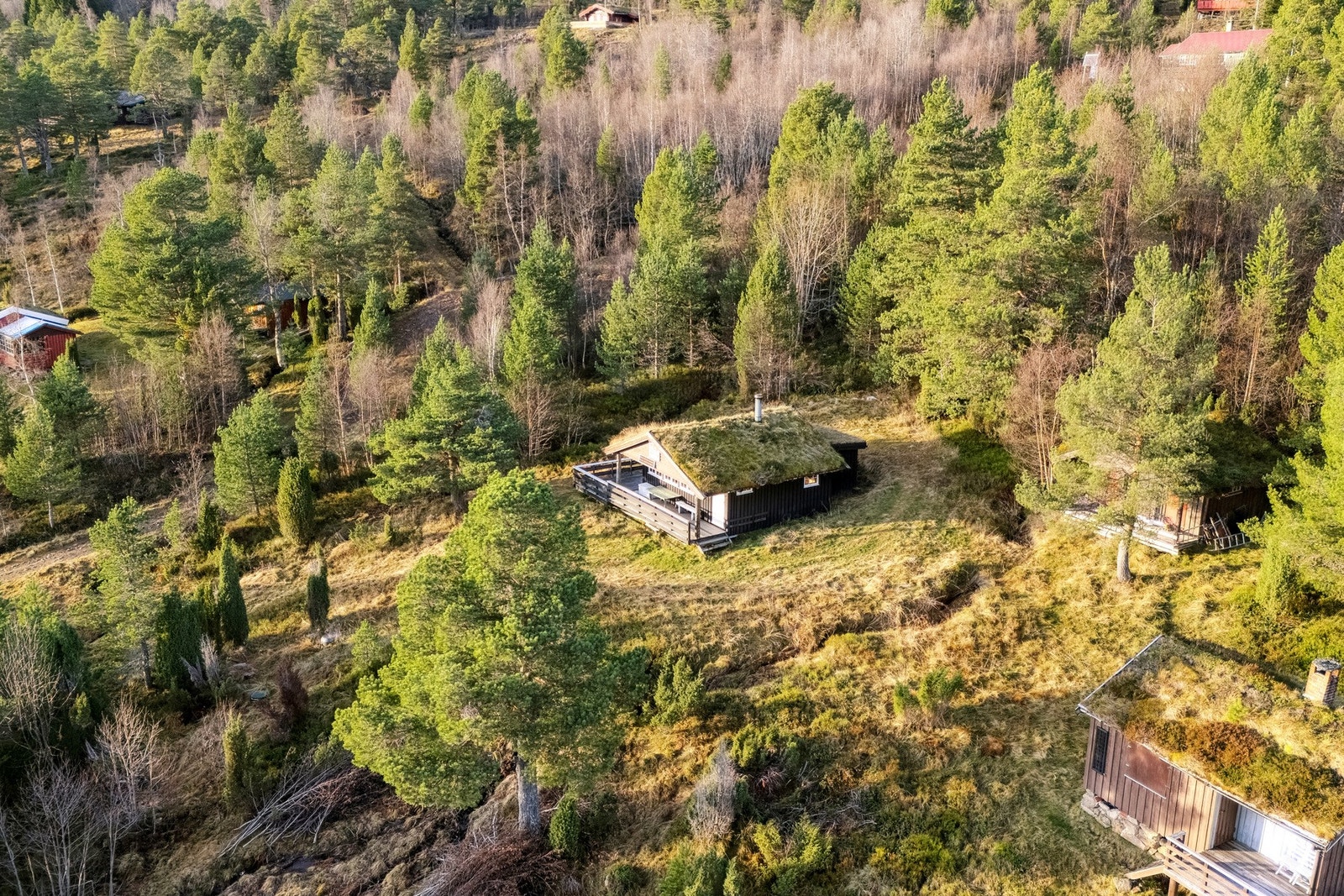 Det er sommerveg opp til hytten. På vinteren er det mulig å kjøre snøscooter opp. Galleribilde