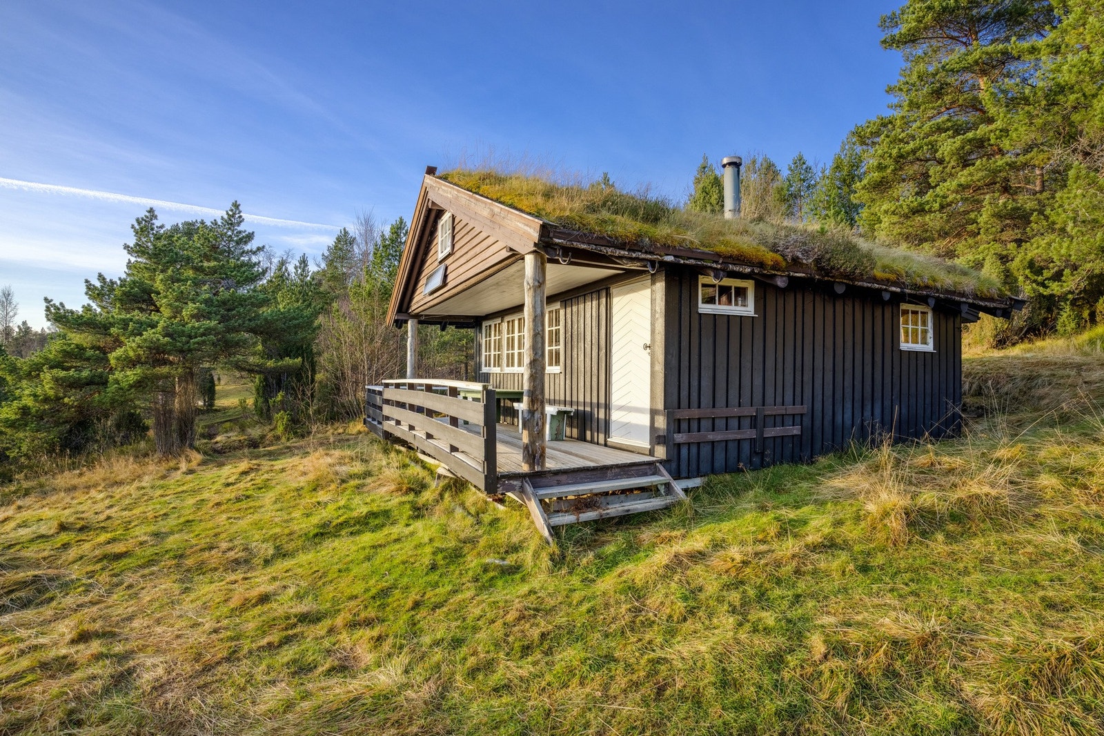 Fasade. Galleribilde