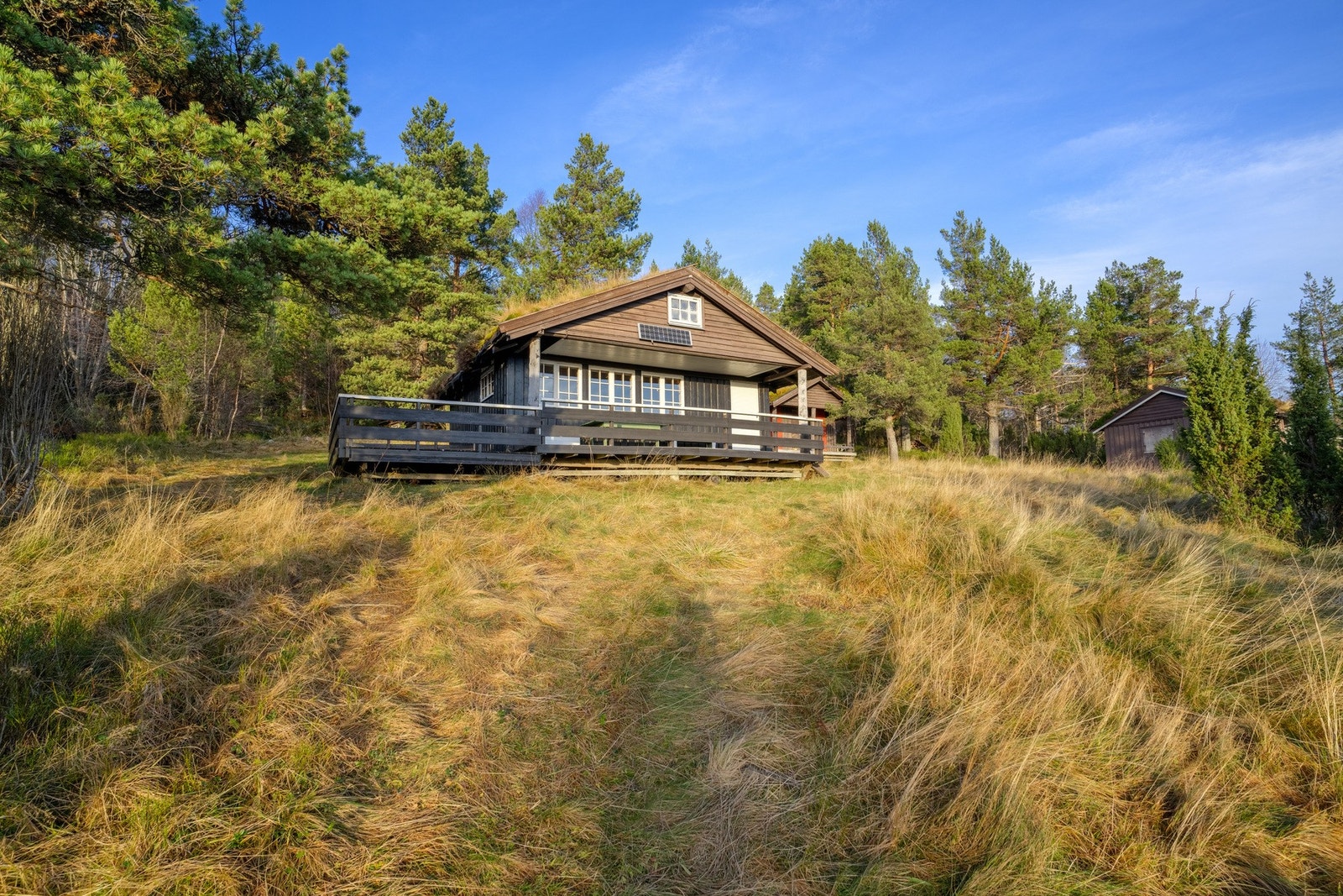 Velkommen til en hyggelig visning! Galleribilde