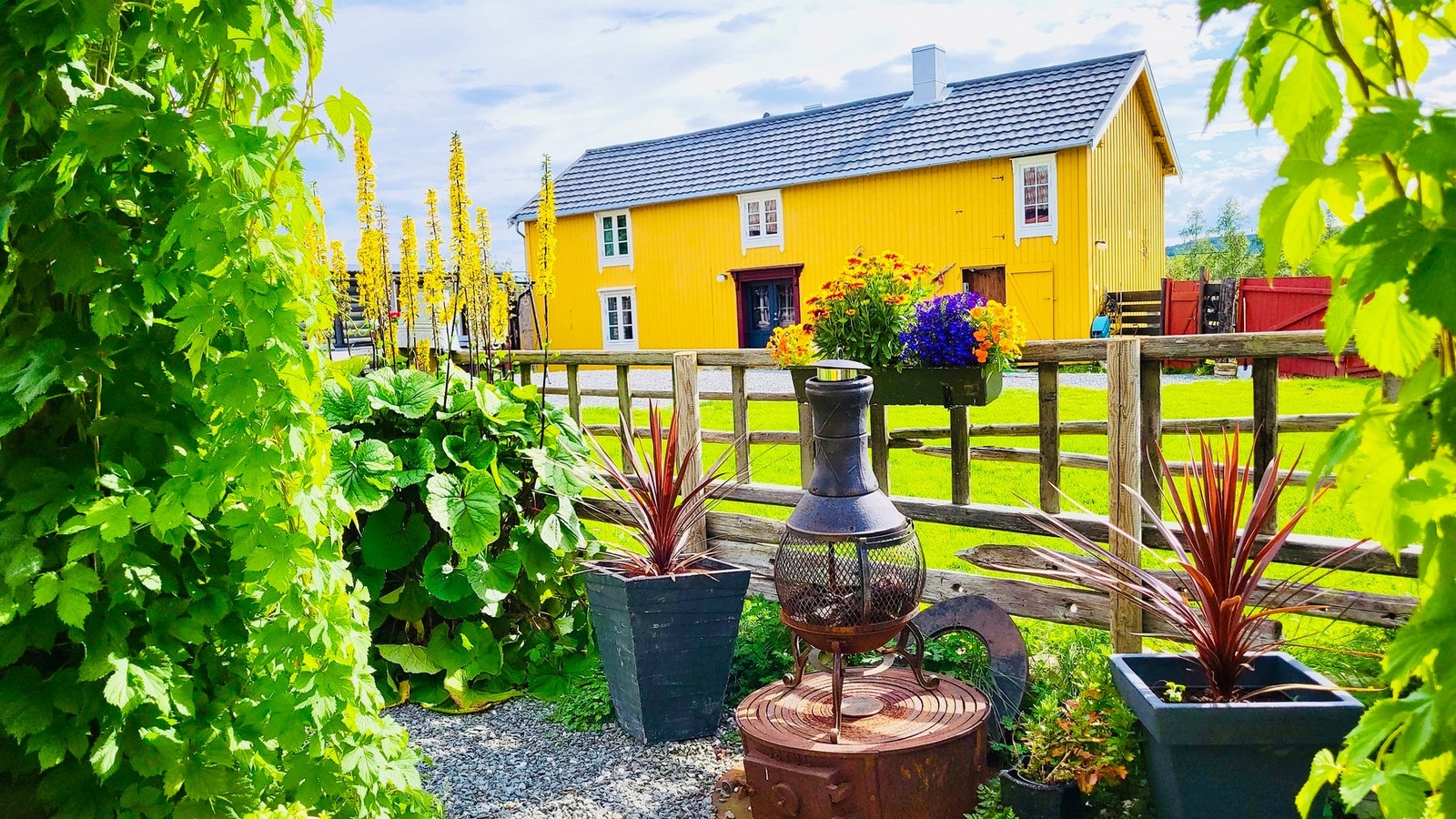 Galleribilde