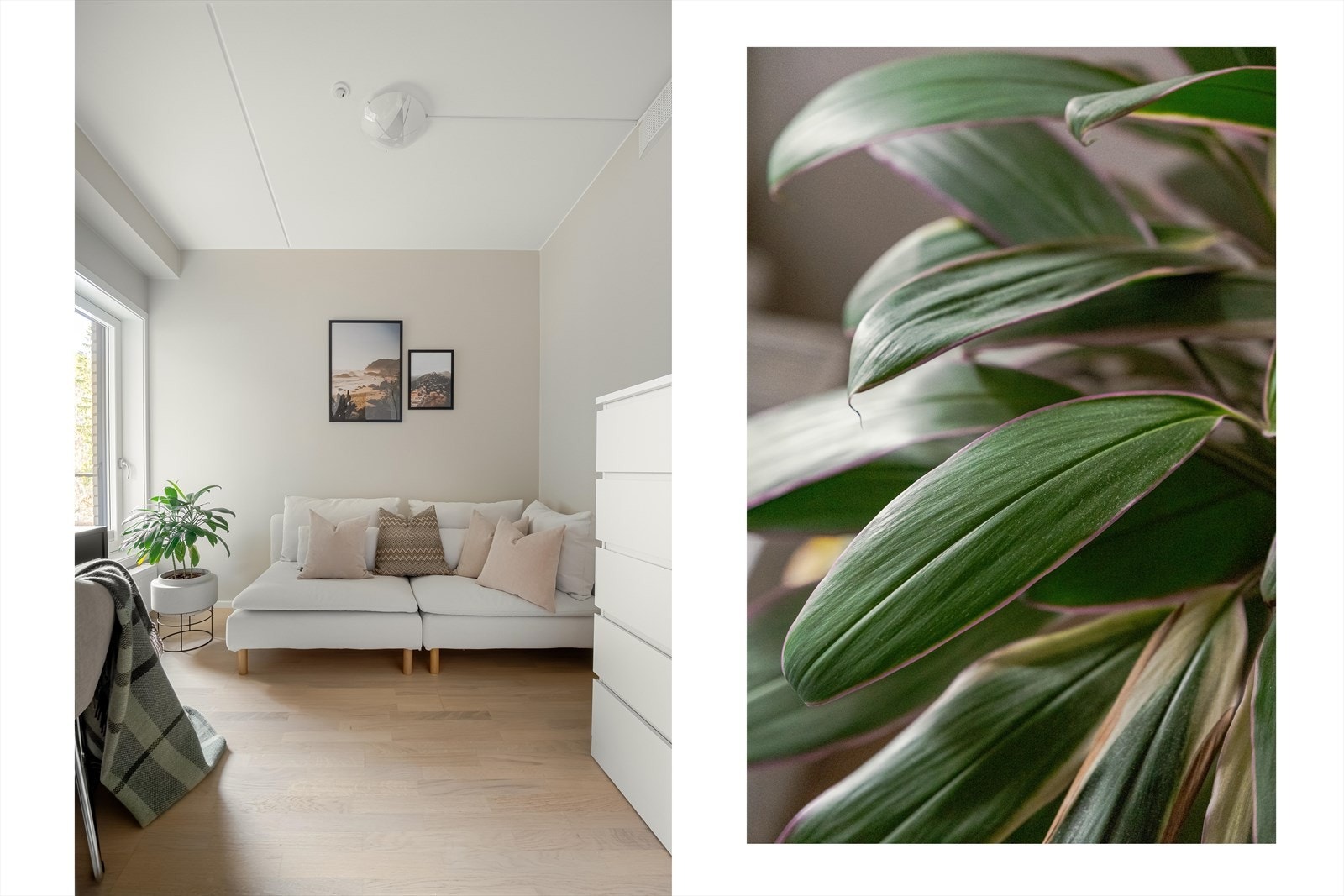 Trivelig og lyst rom. Galleribilde