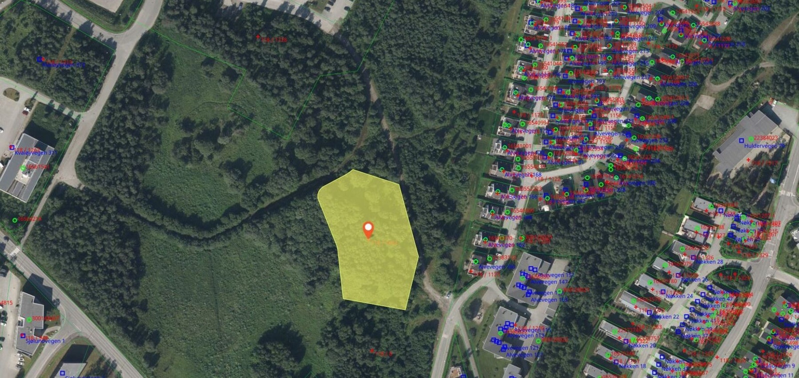 Tomteakart Galleribilde