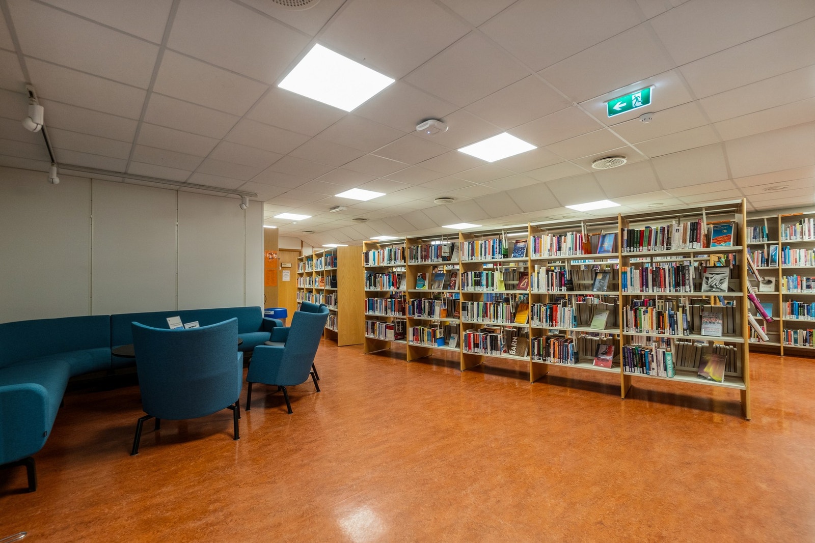 Bibliotek. Galleribilde