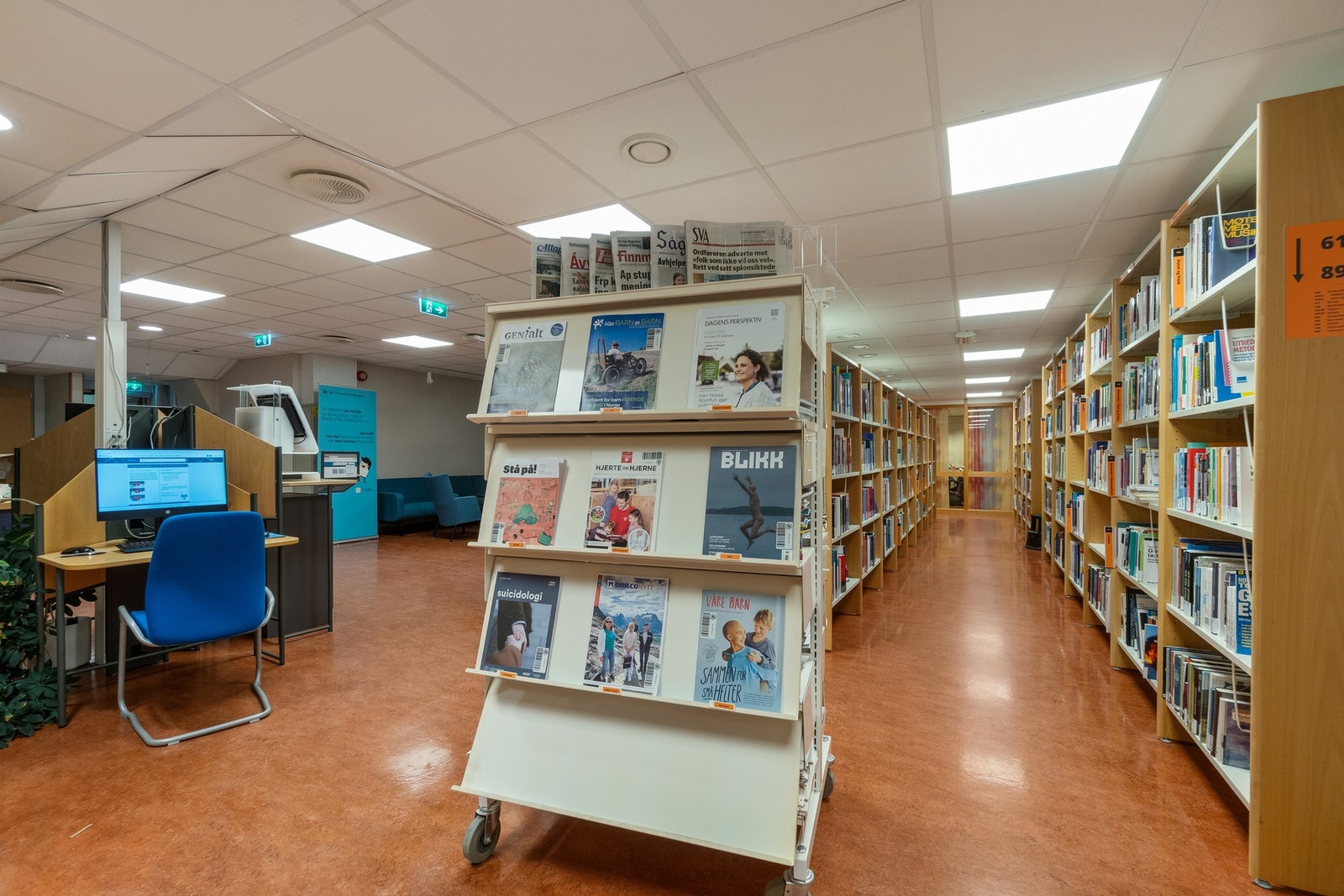 Bibloteket. Galleribilde