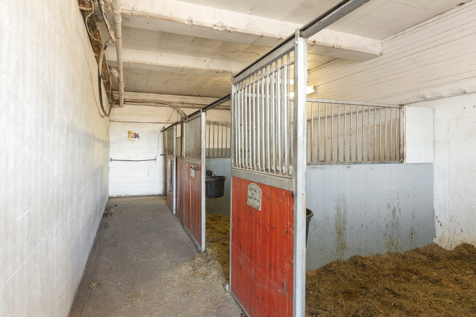 Stall m/4 hestebokser Galleribilde