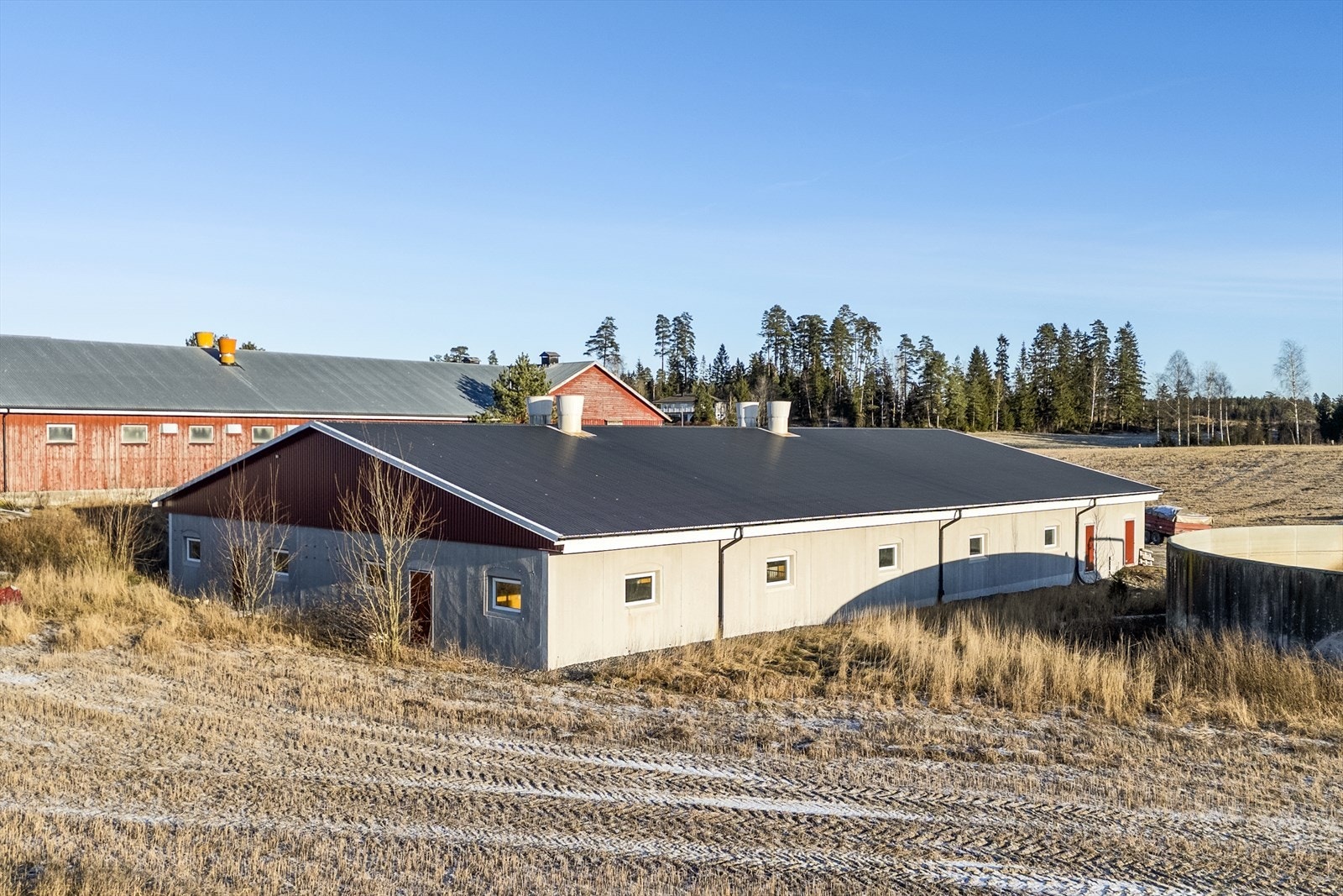 Grisehus for slaktegris, som ble bygget i 2009 Galleribilde