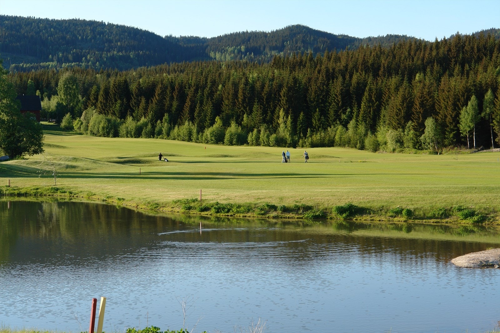 Nærområdet Galleribilde