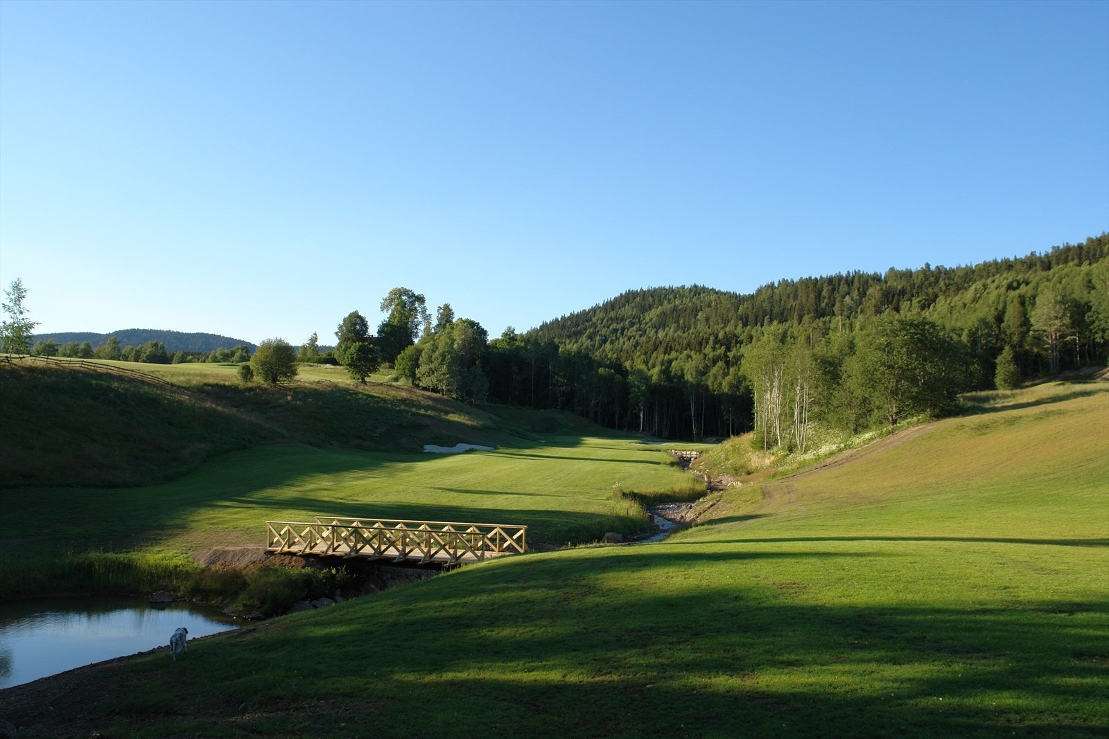 Nærområdet Galleribilde