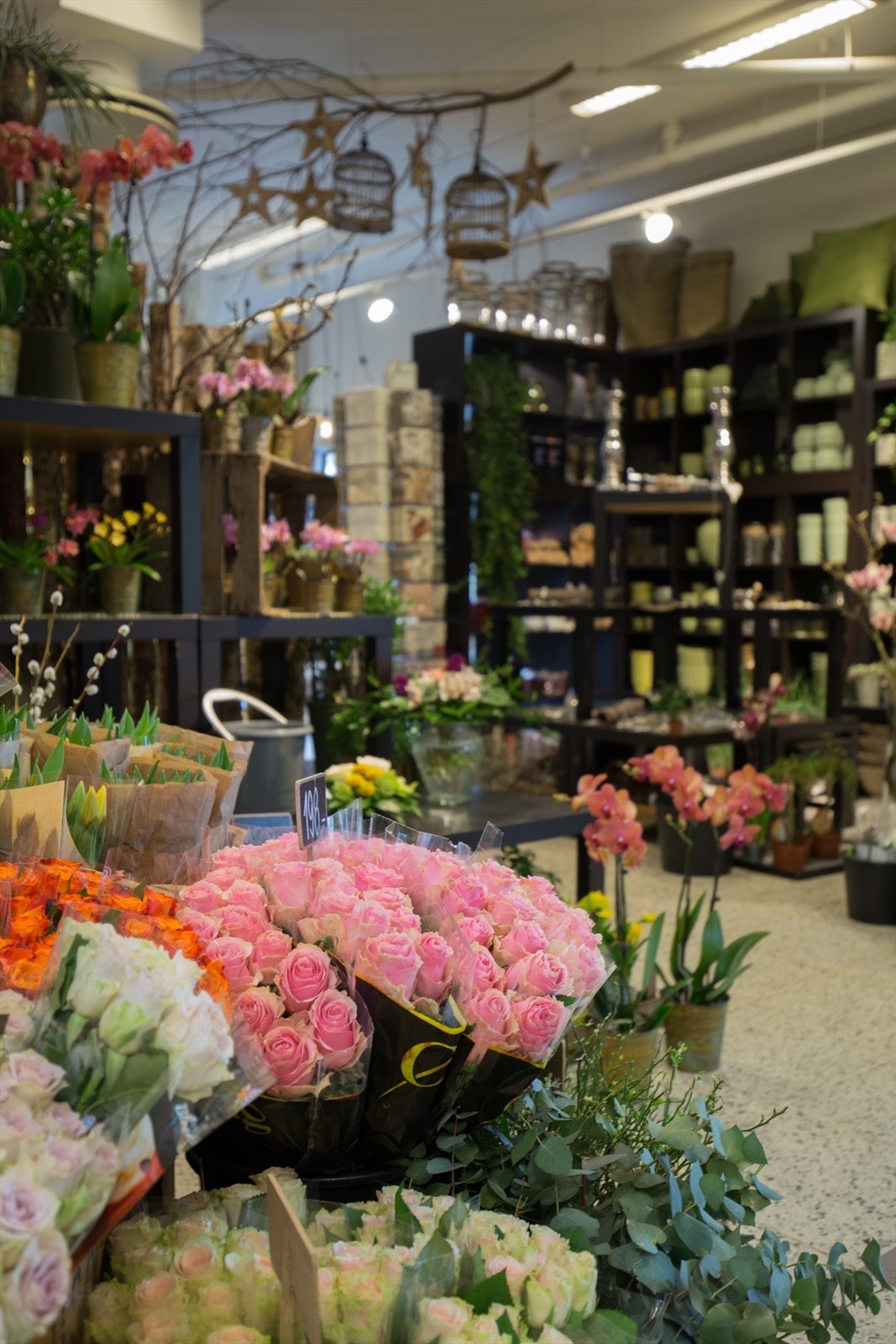 Nærområdet Galleribilde