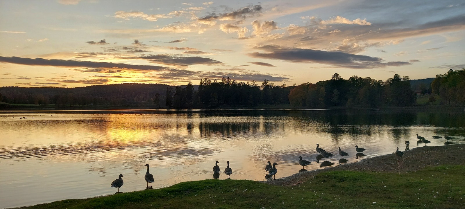 Kveldstur til Bogstadvannet Galleribilde