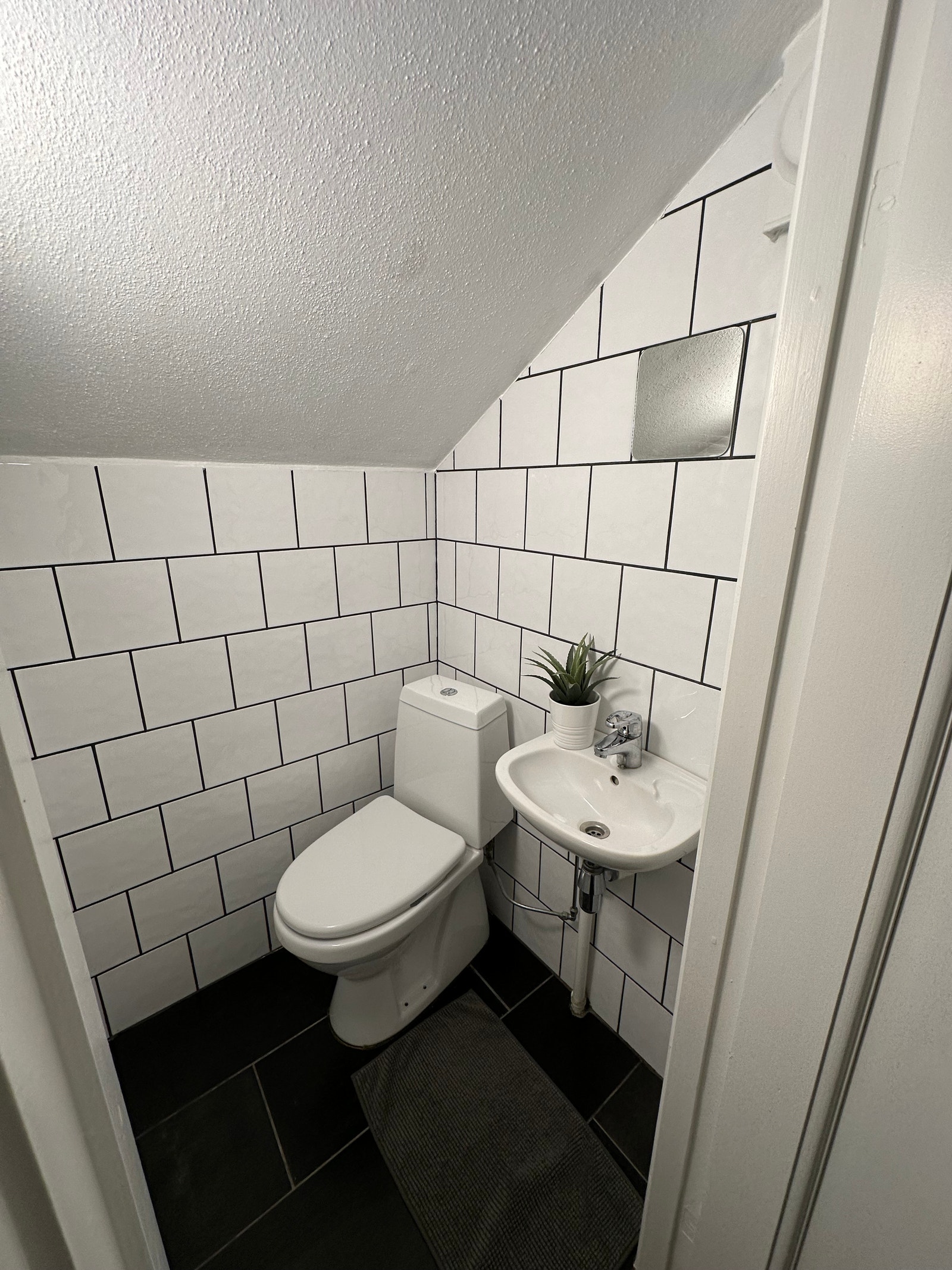 Bildet fra ekstra WC i fellesgang. Galleribilde