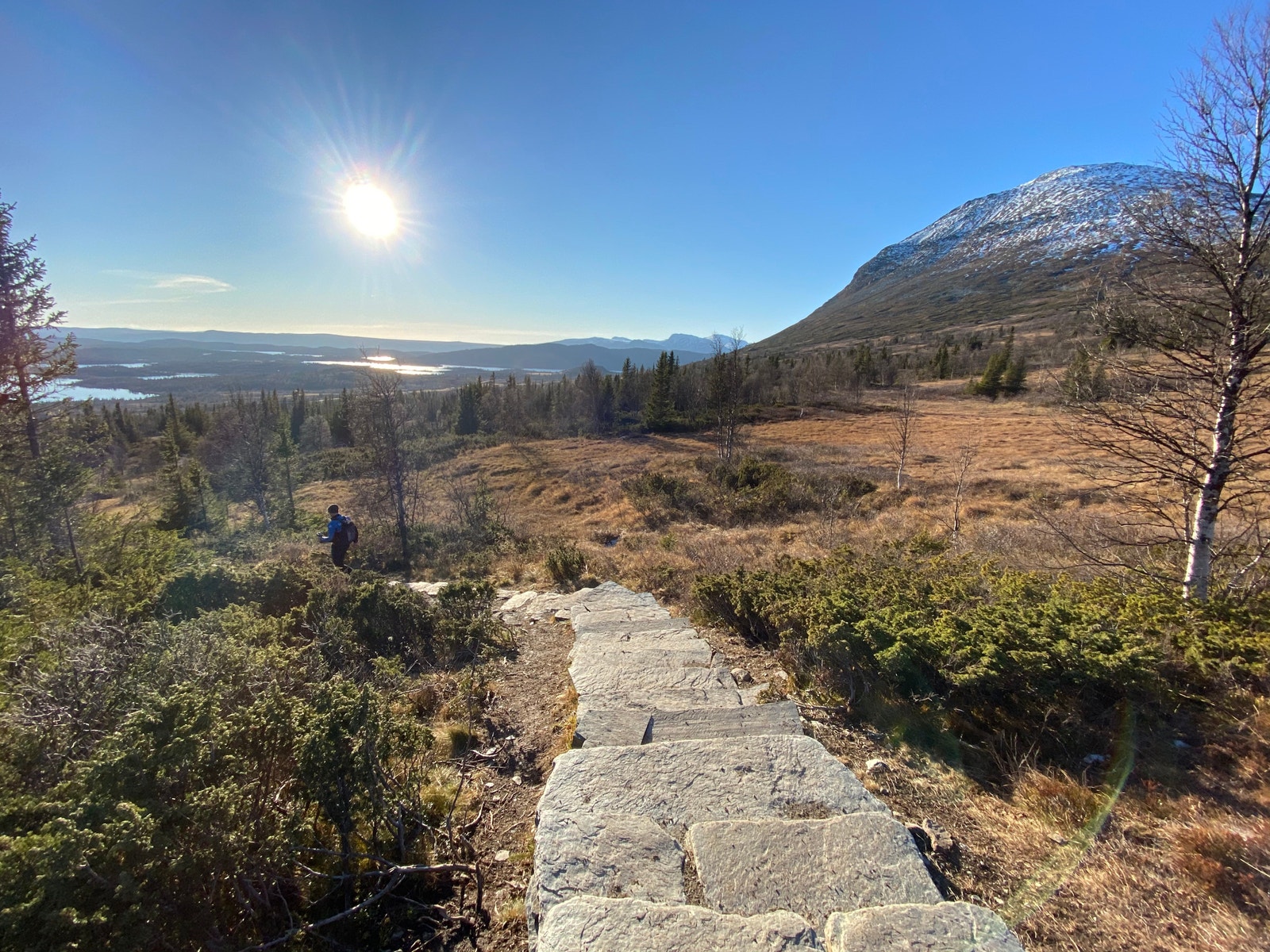 Flott turterreng i nærområdet. Galleribilde