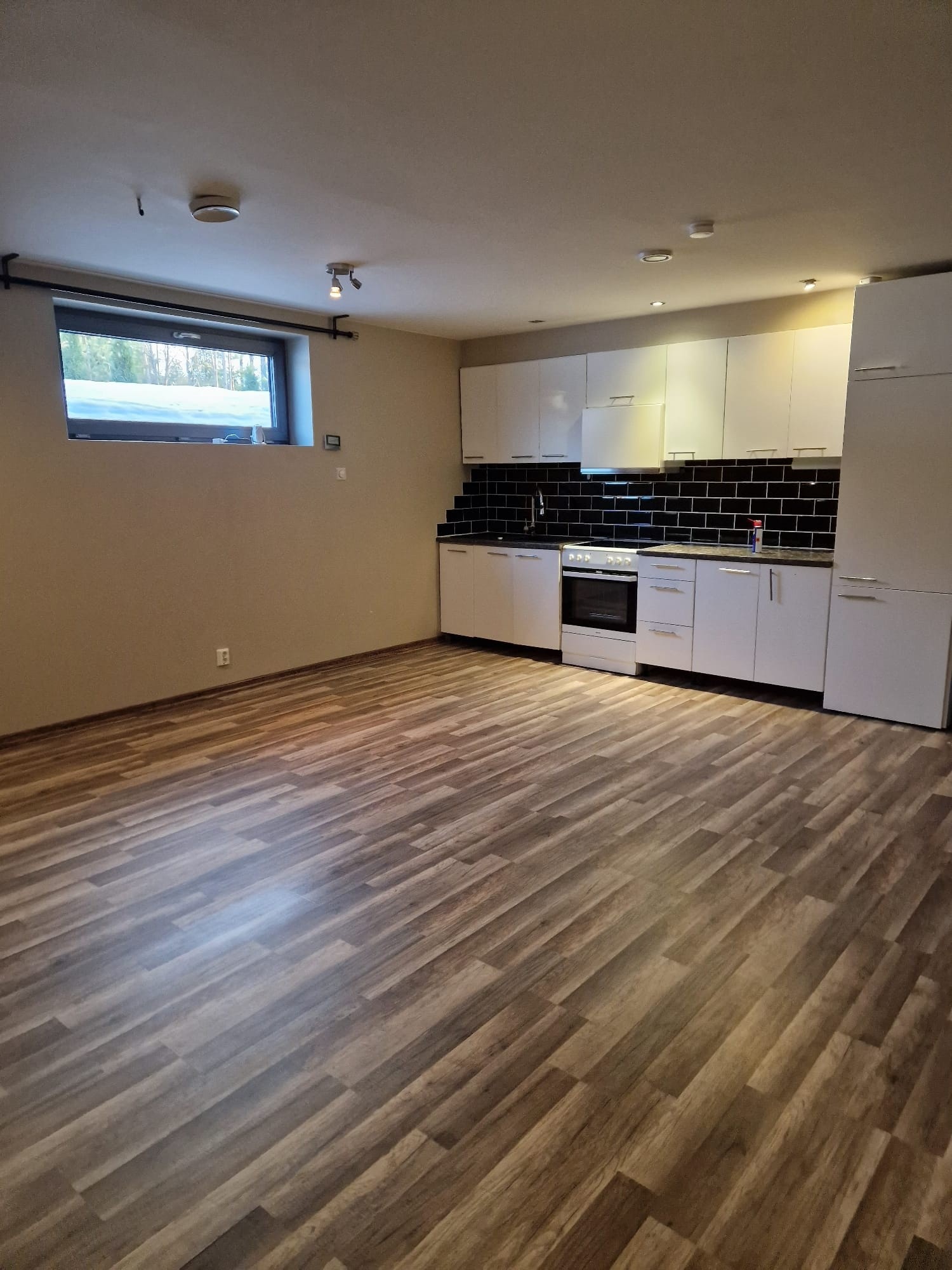 Stor stue med stor vinduer Galleribilde