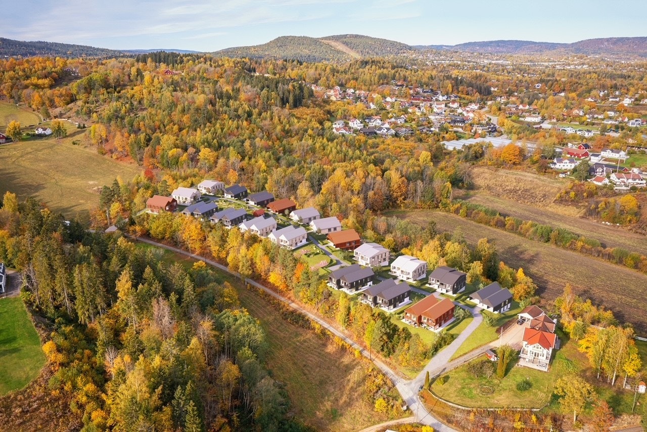 Linlandet sett fra syd Galleribilde