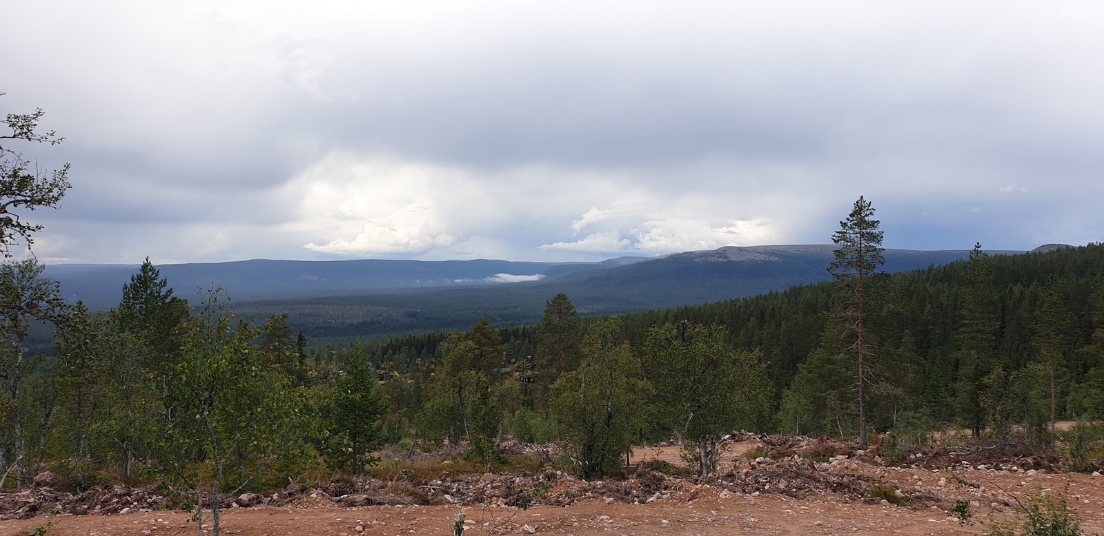 Bilde fra aktuell tomt Galleribilde