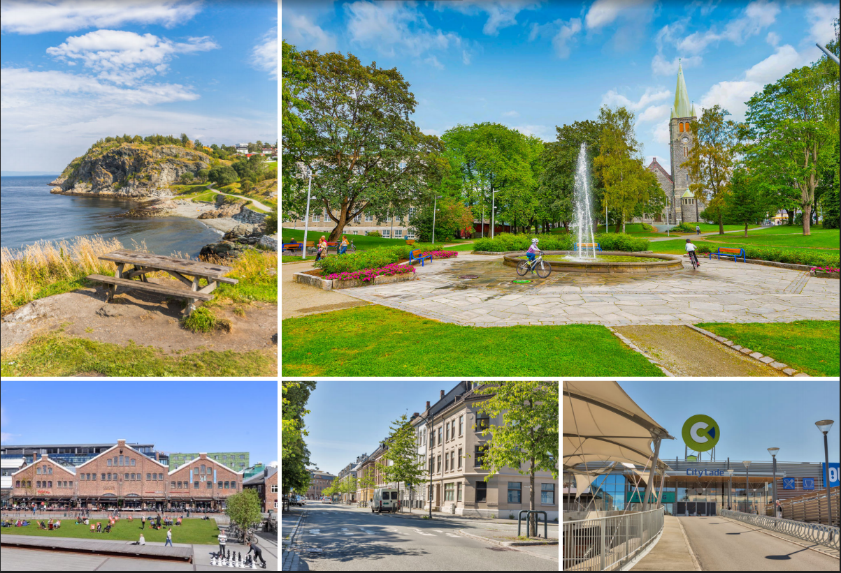 Bilder fra park i nærheten. Galleribilde