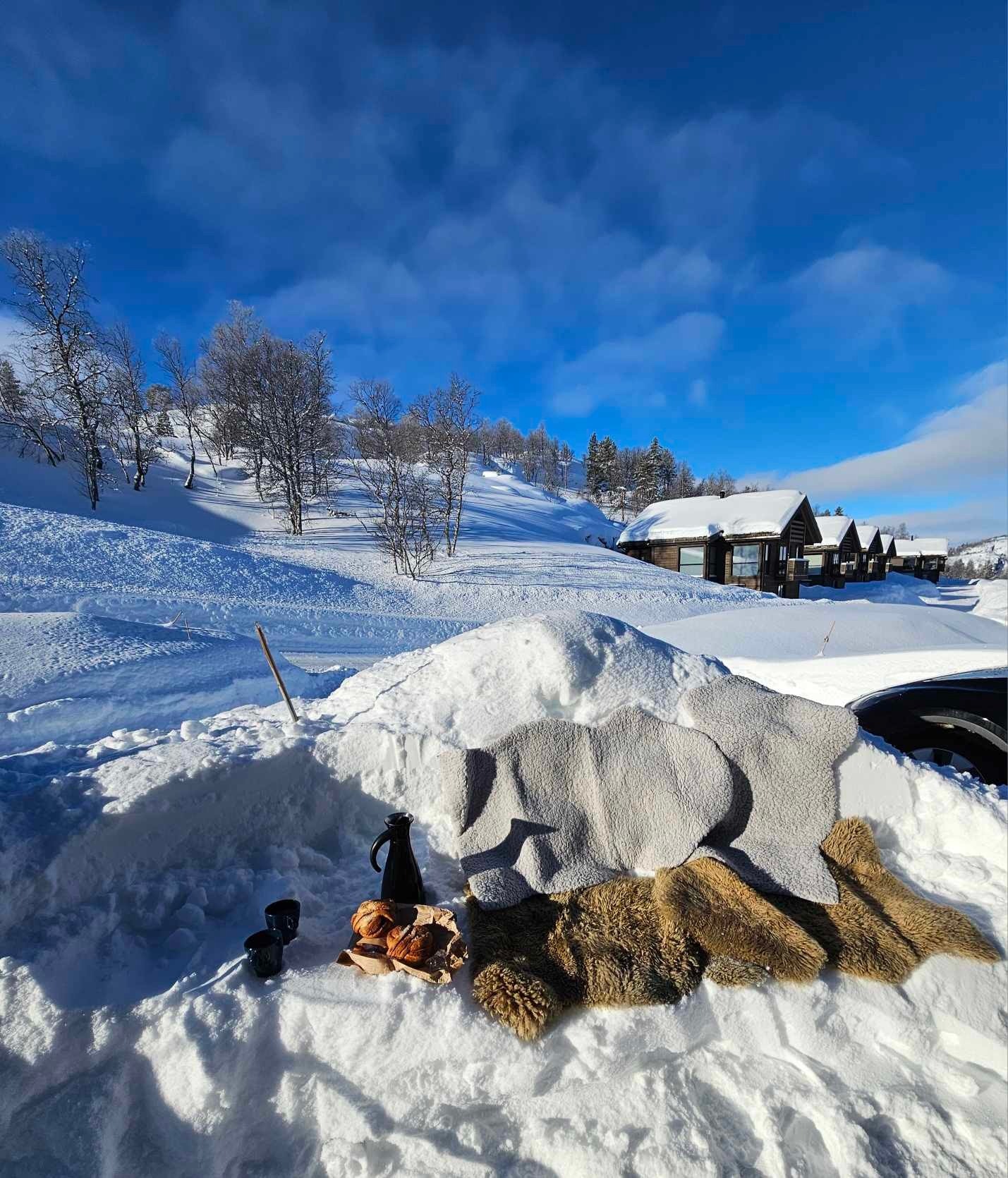 Snøriket Galleribilde