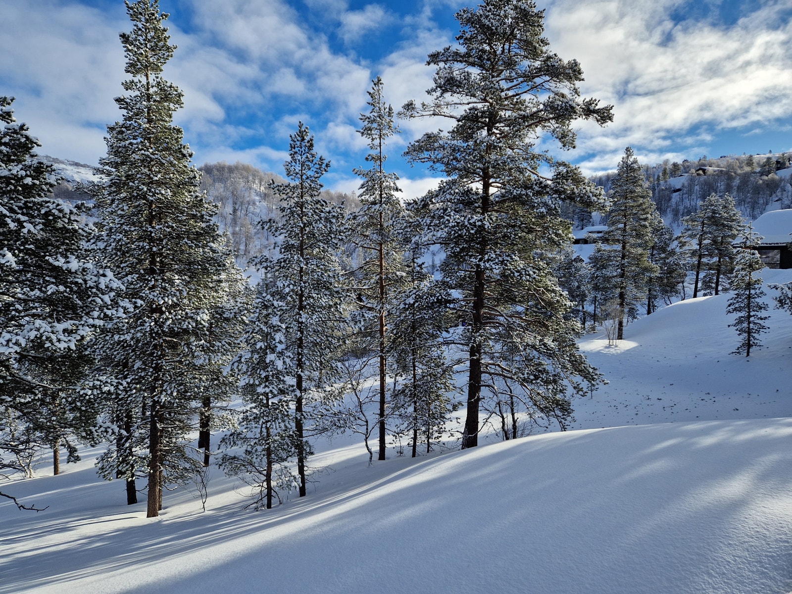 Digg å se ut på Galleribilde