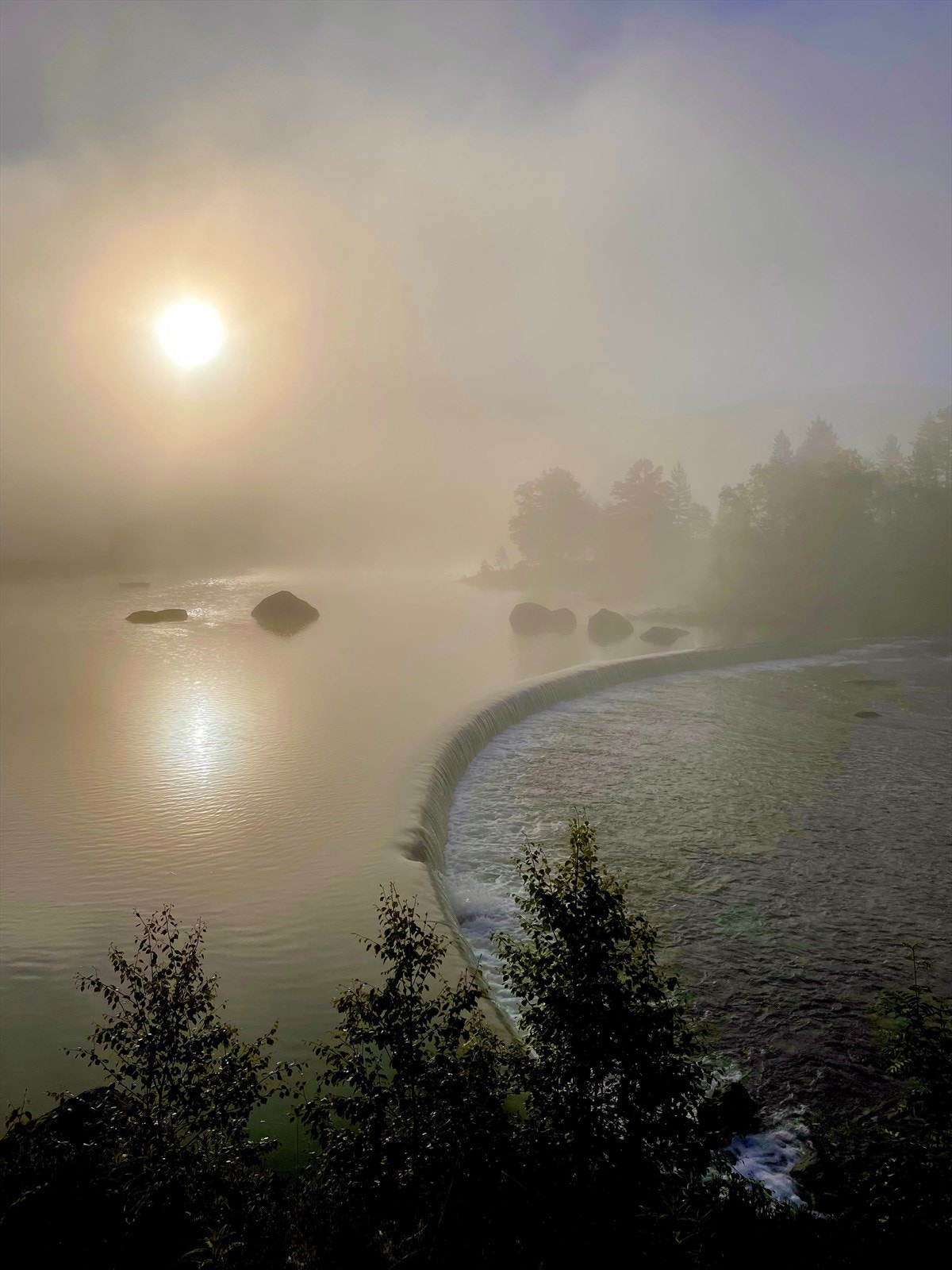 Nærområde på Øyne Galleribilde