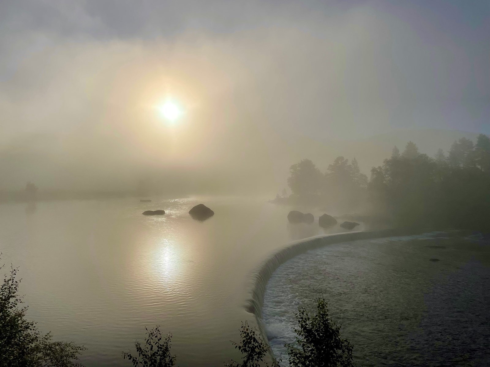 Nærområde på Øyne Galleribilde