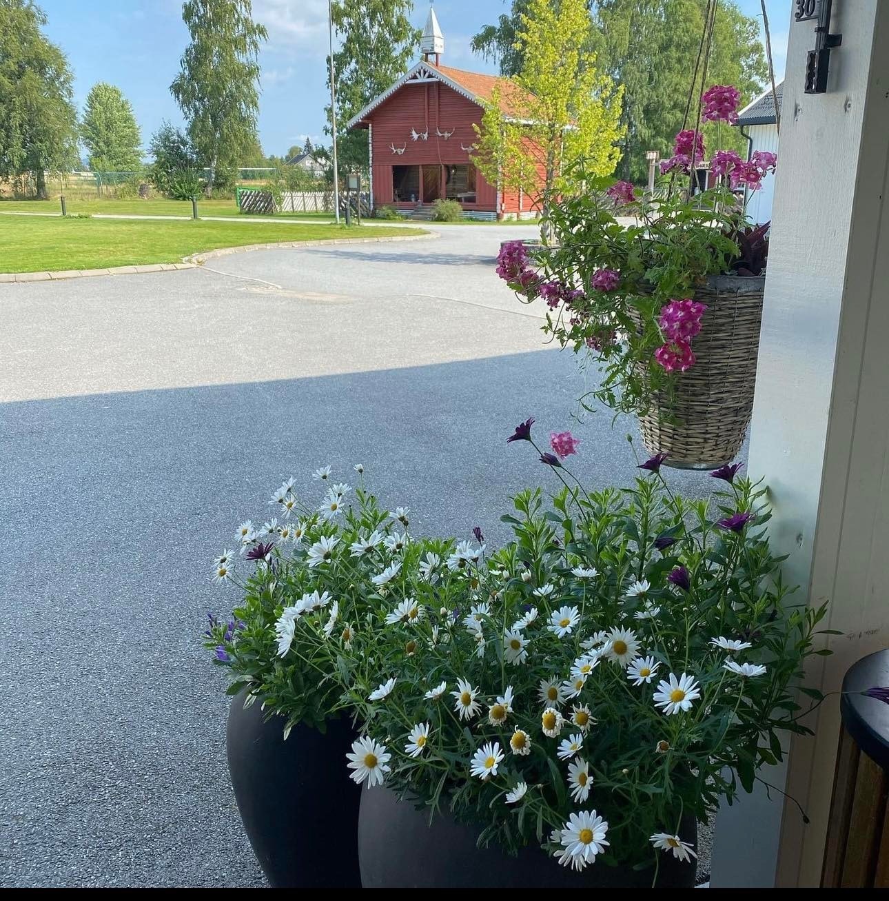 Utsikt fra inngangsparti mot tomt Galleribilde