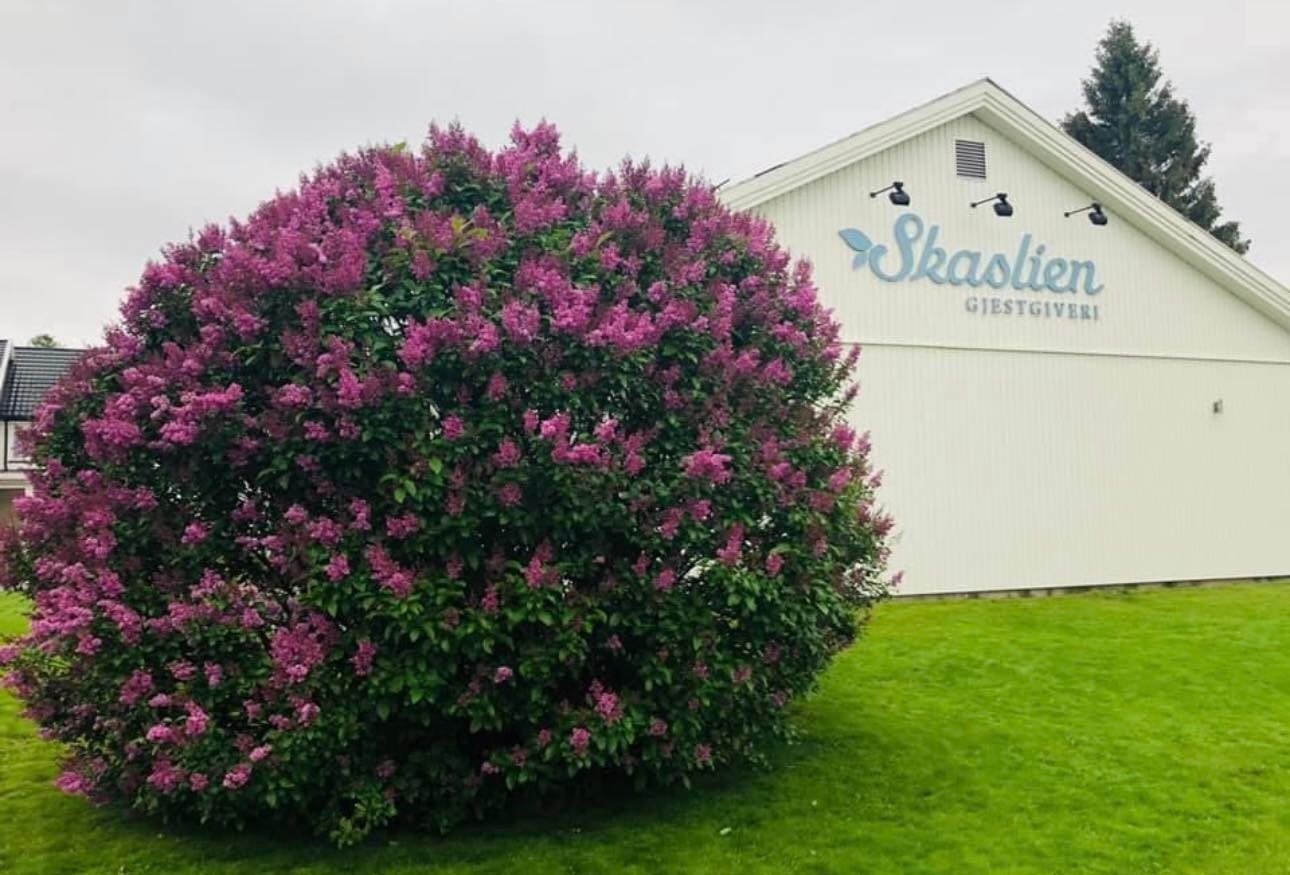 Vår pryd i hagen Galleribilde