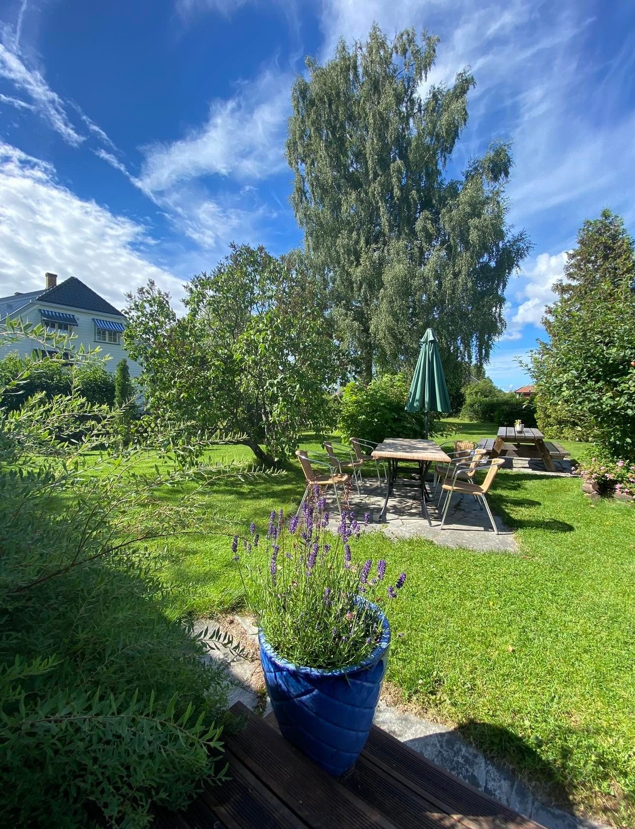 Hagen ved restauranten Galleribilde