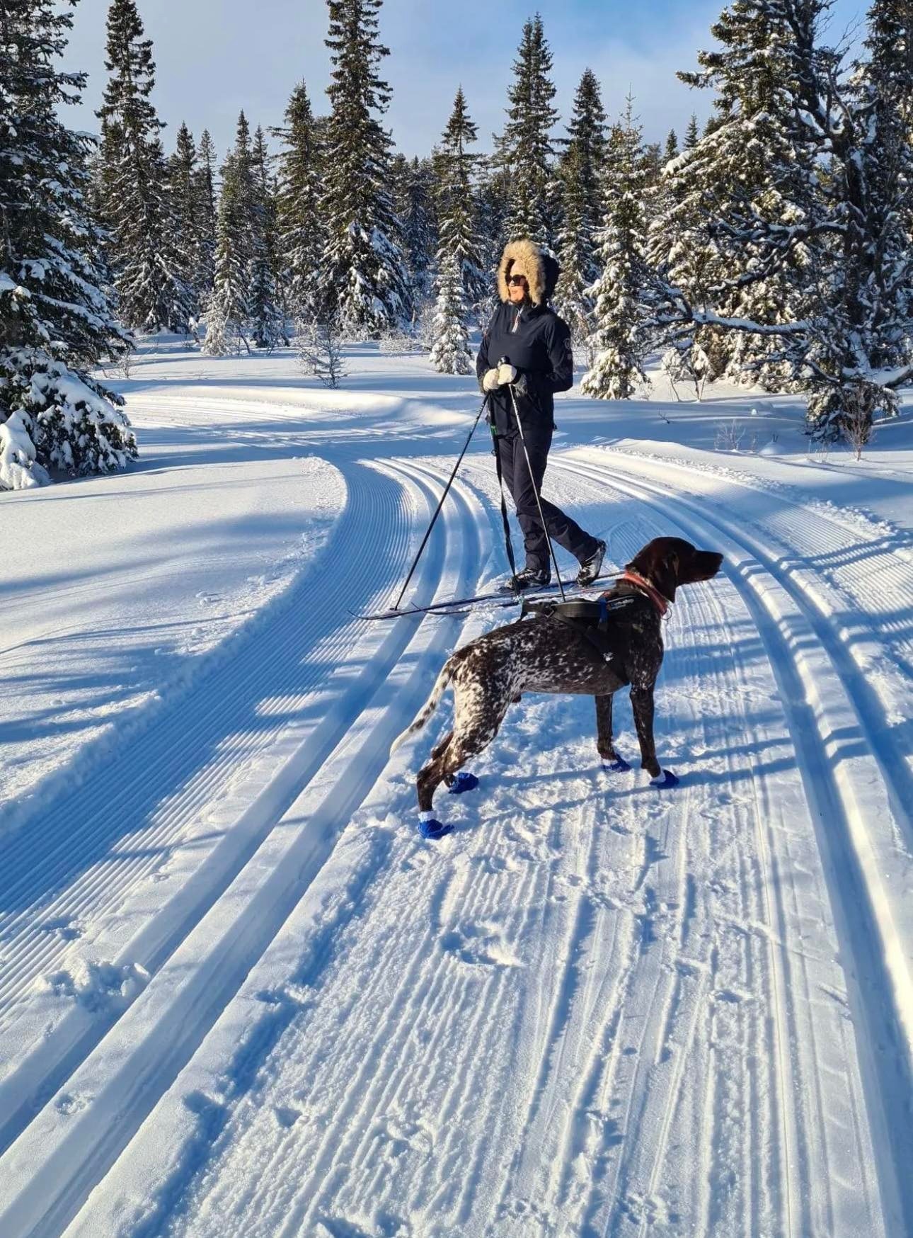 På skitur i Finnskogen Galleribilde
