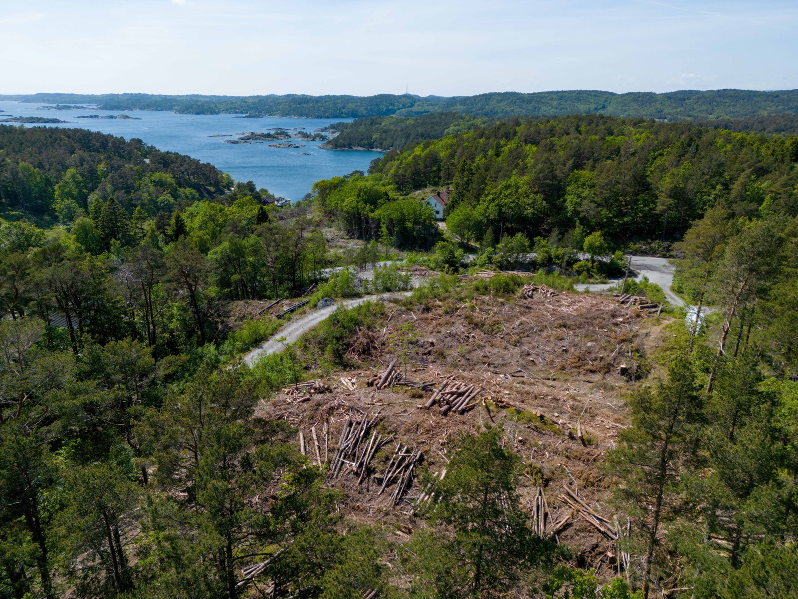 Foto av området og tomt. Galleribilde