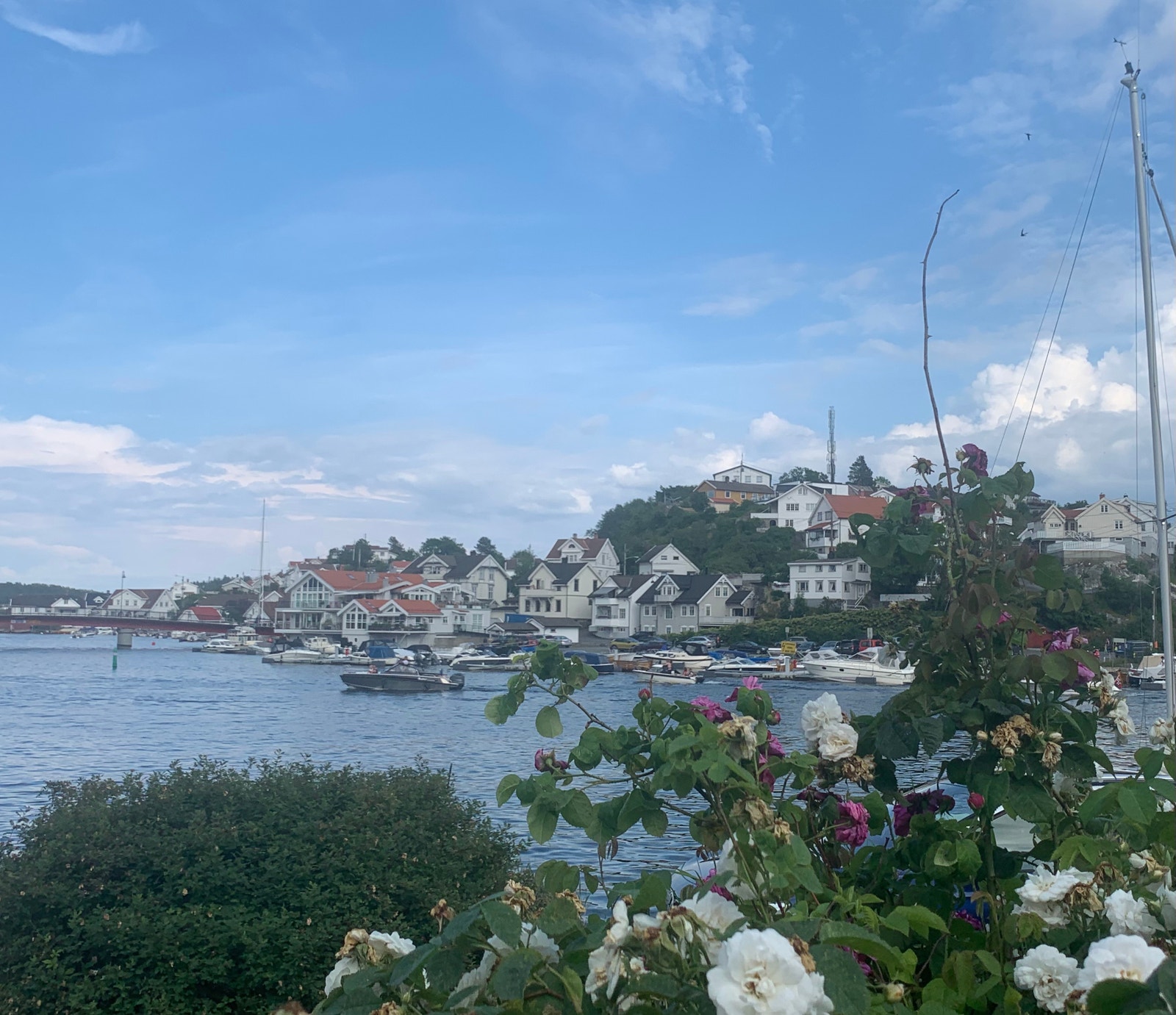 Utsikt til Øya Galleribilde