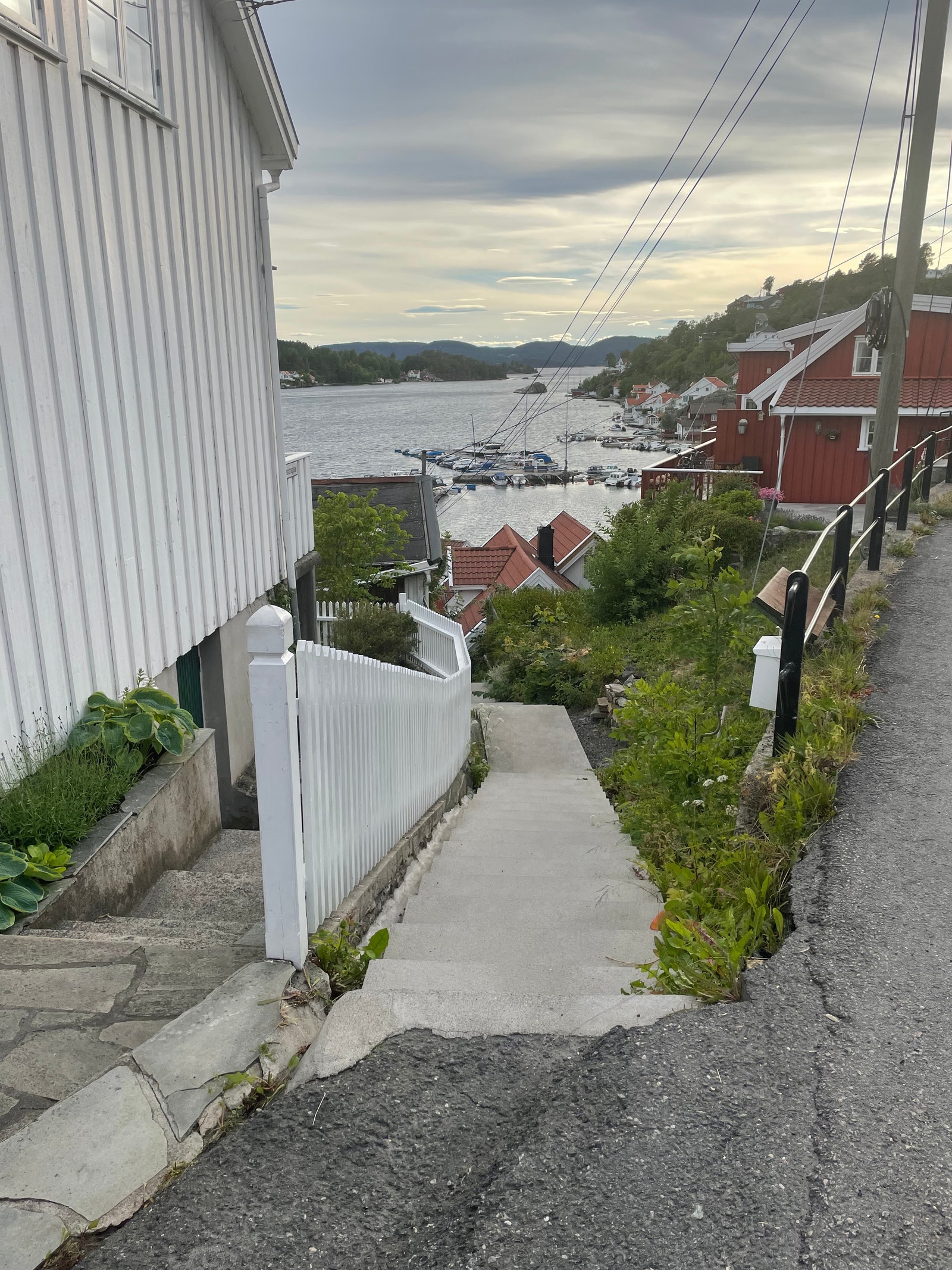 Trappen ned til havna Galleribilde