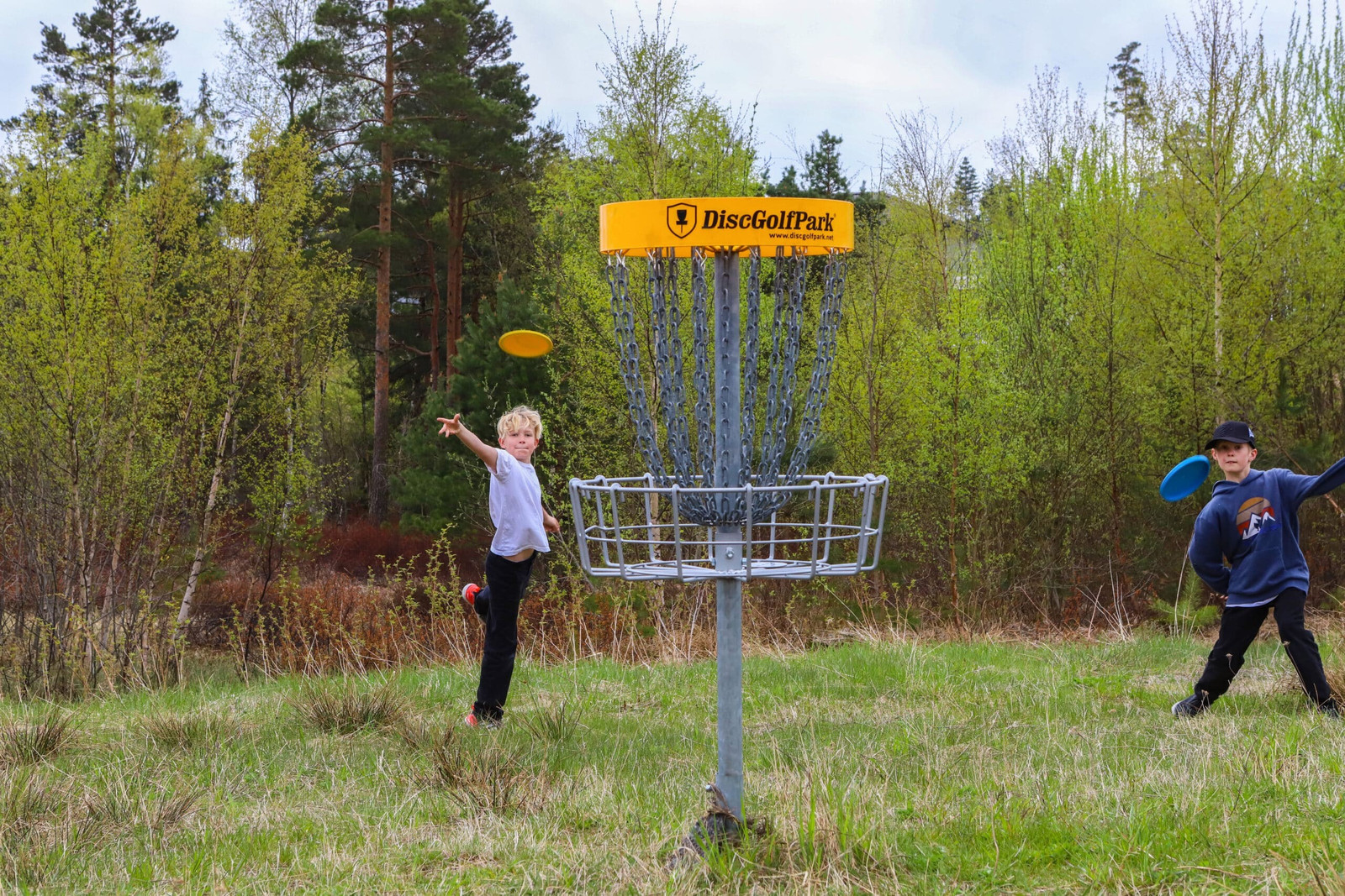 Frisbeegolf