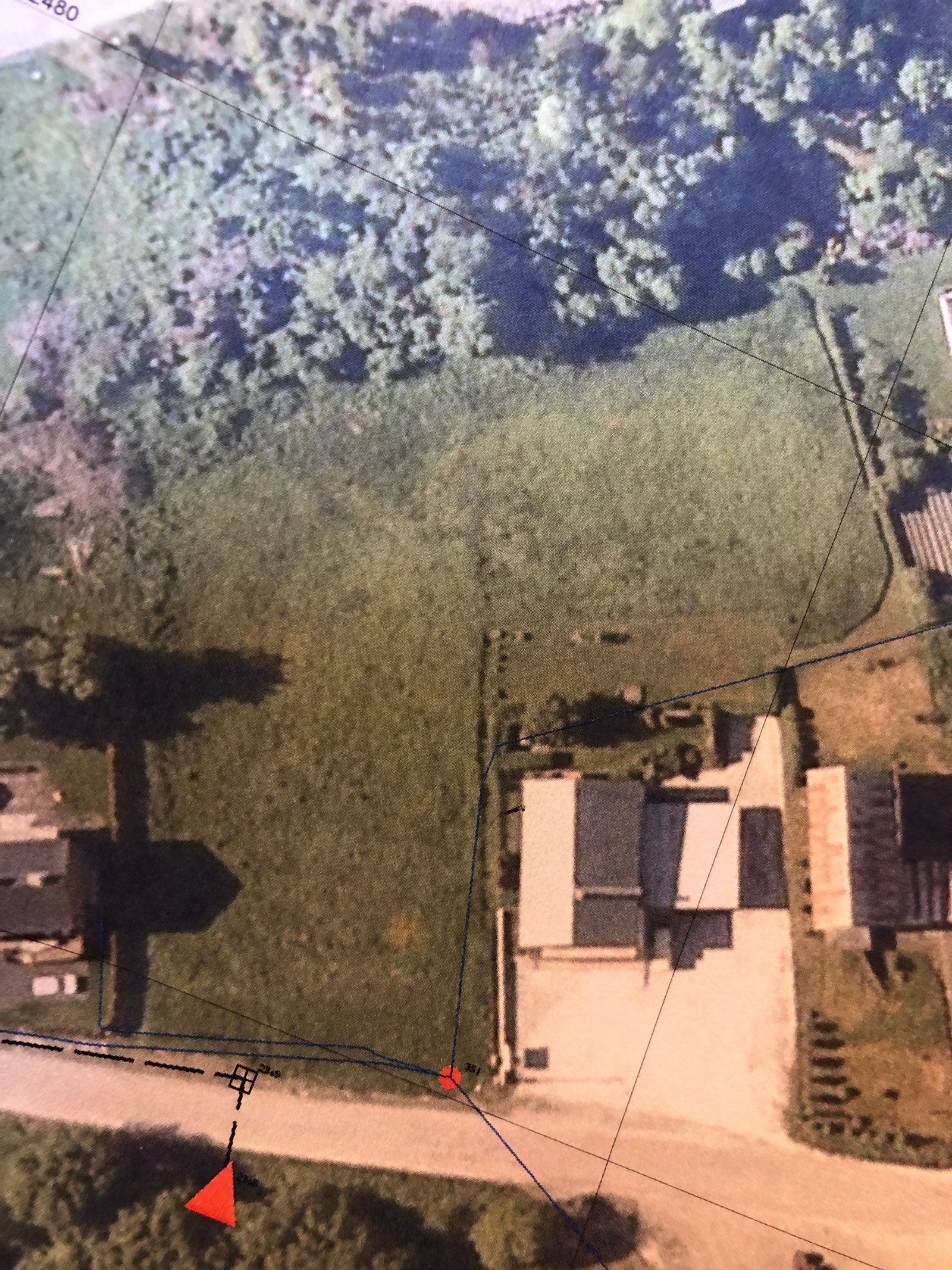 Tomtens sett ovenfra. Galleribilde