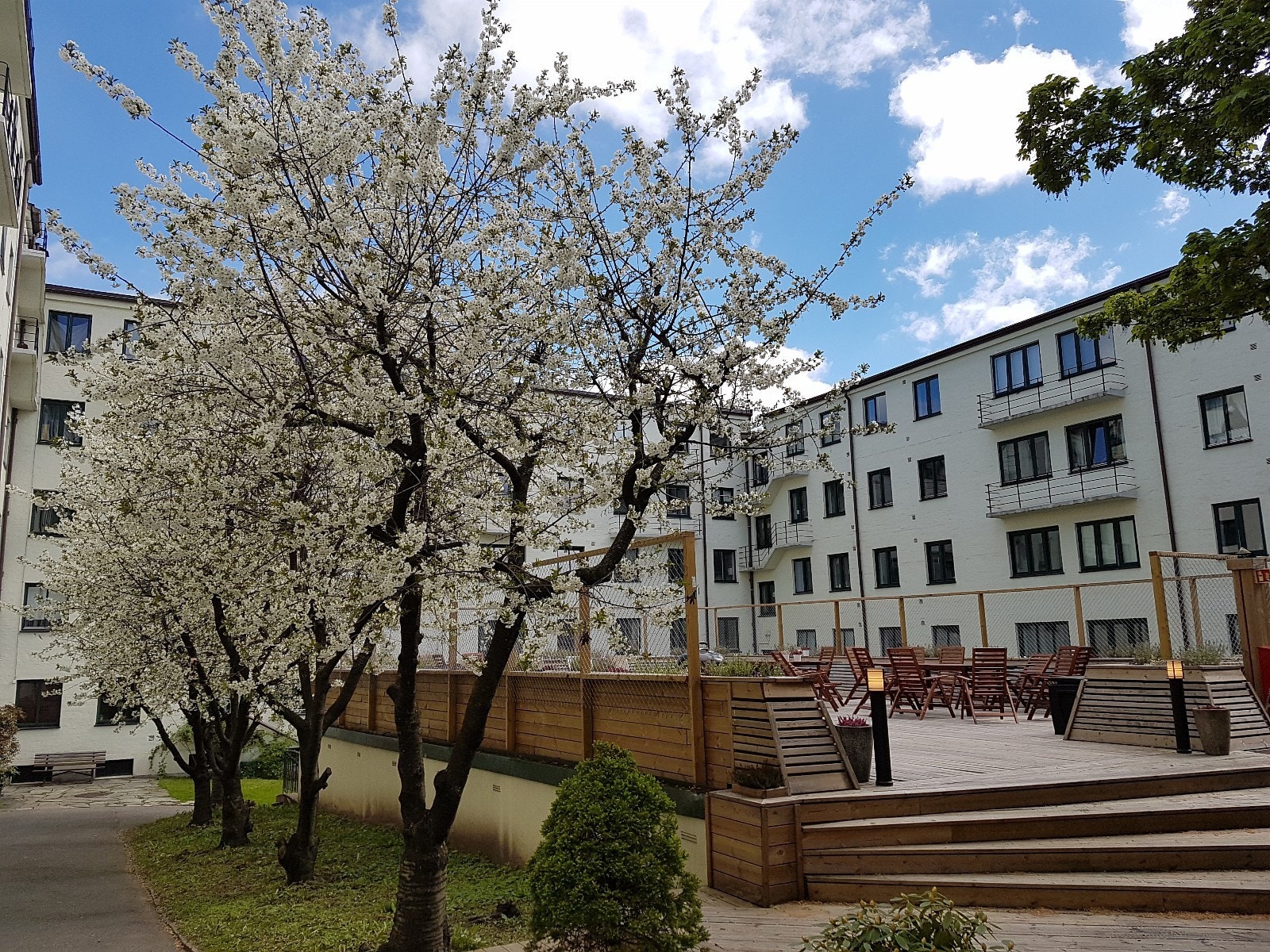 Bakgård Galleribilde